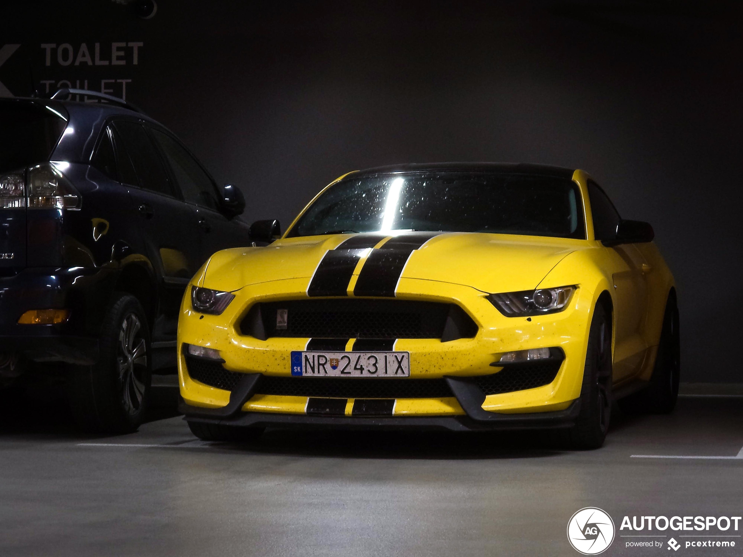 Ford Mustang Shelby GT350 2015