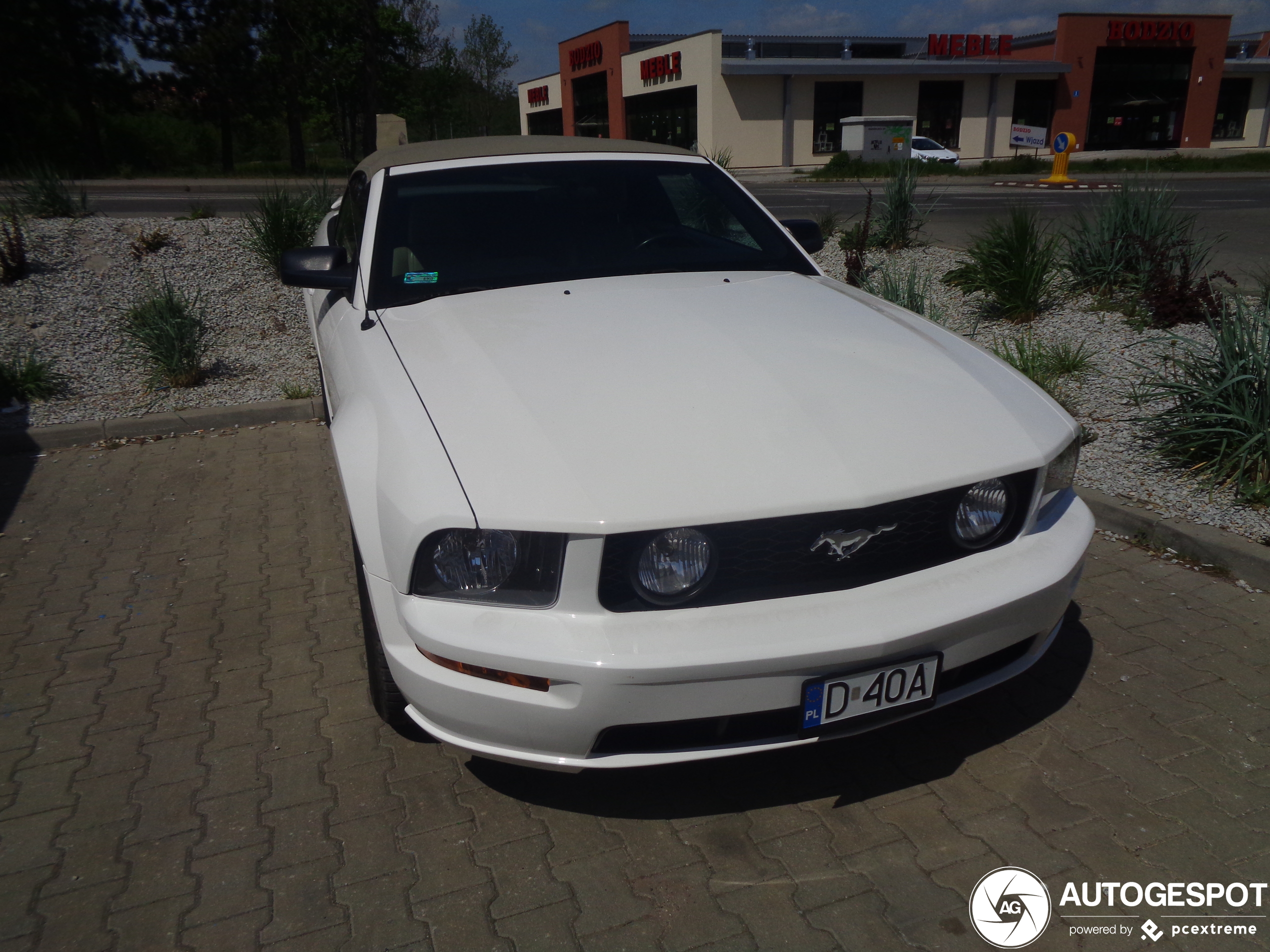 Ford Mustang GT Convertible