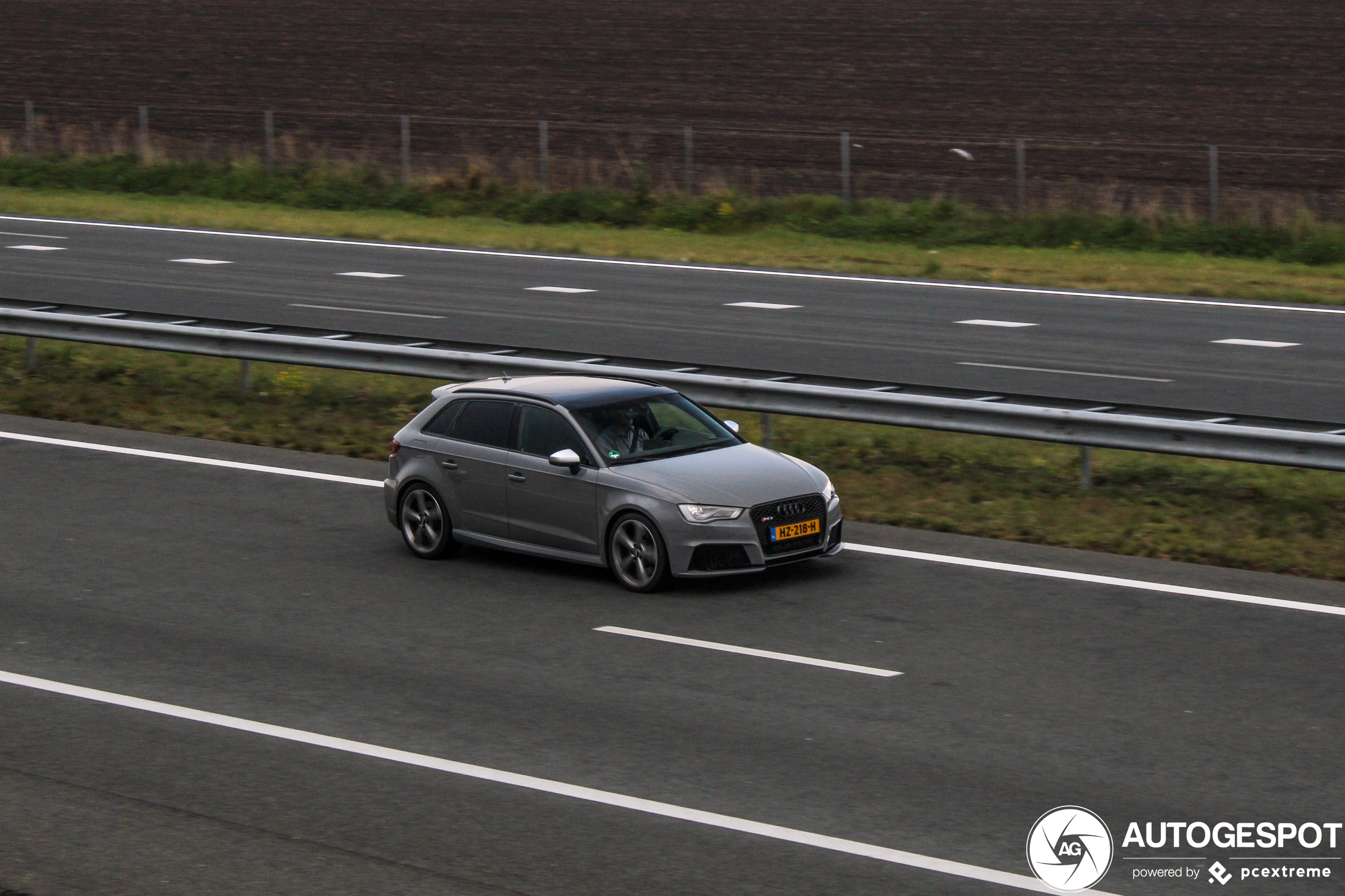 Audi RS3 Sportback 8V