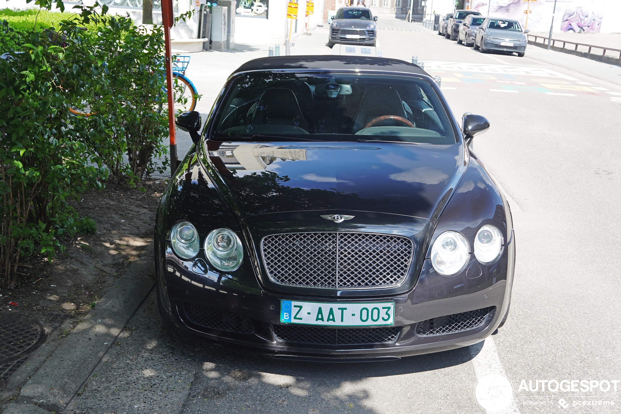 Bentley Continental GTC