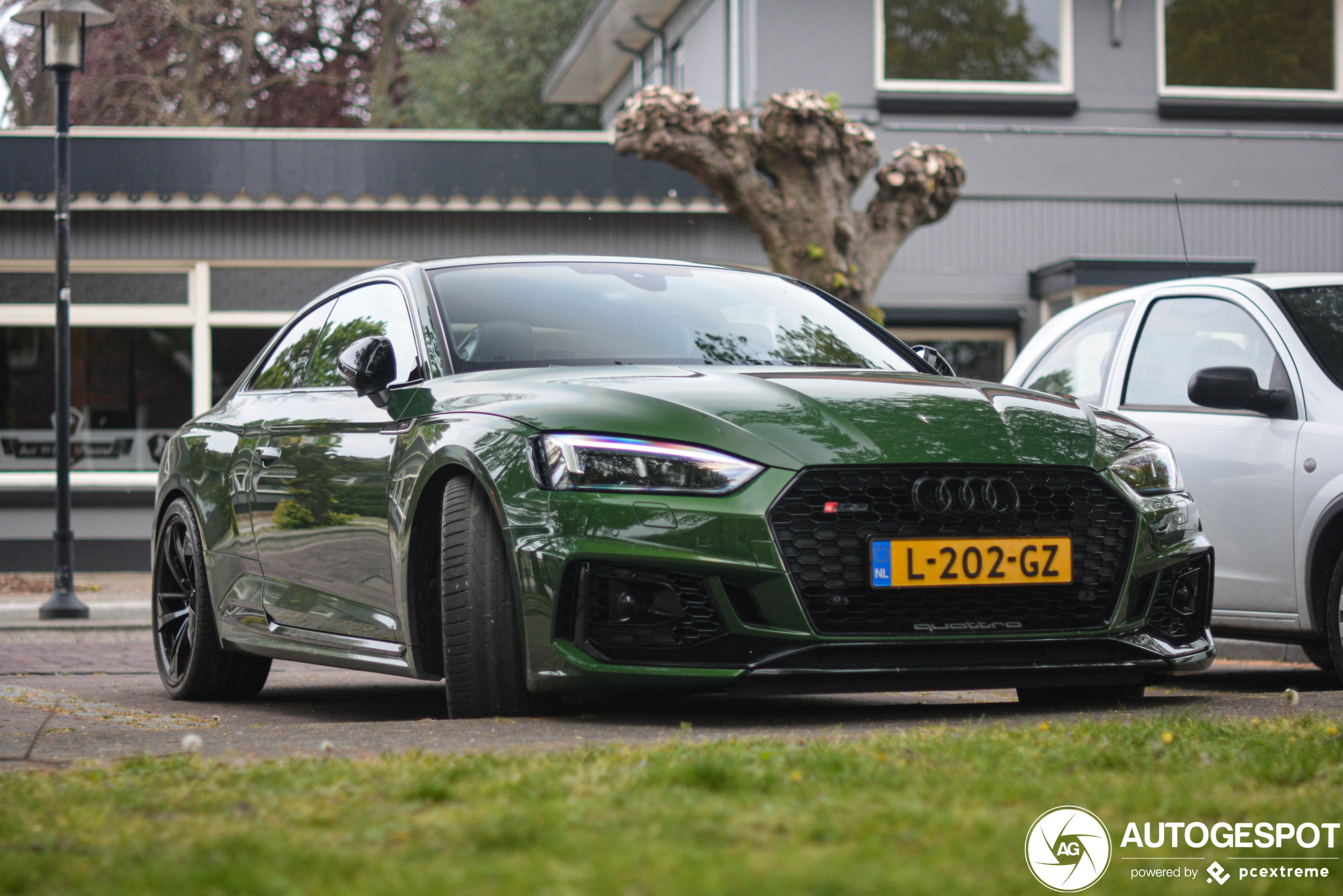 Audi RS5 B9