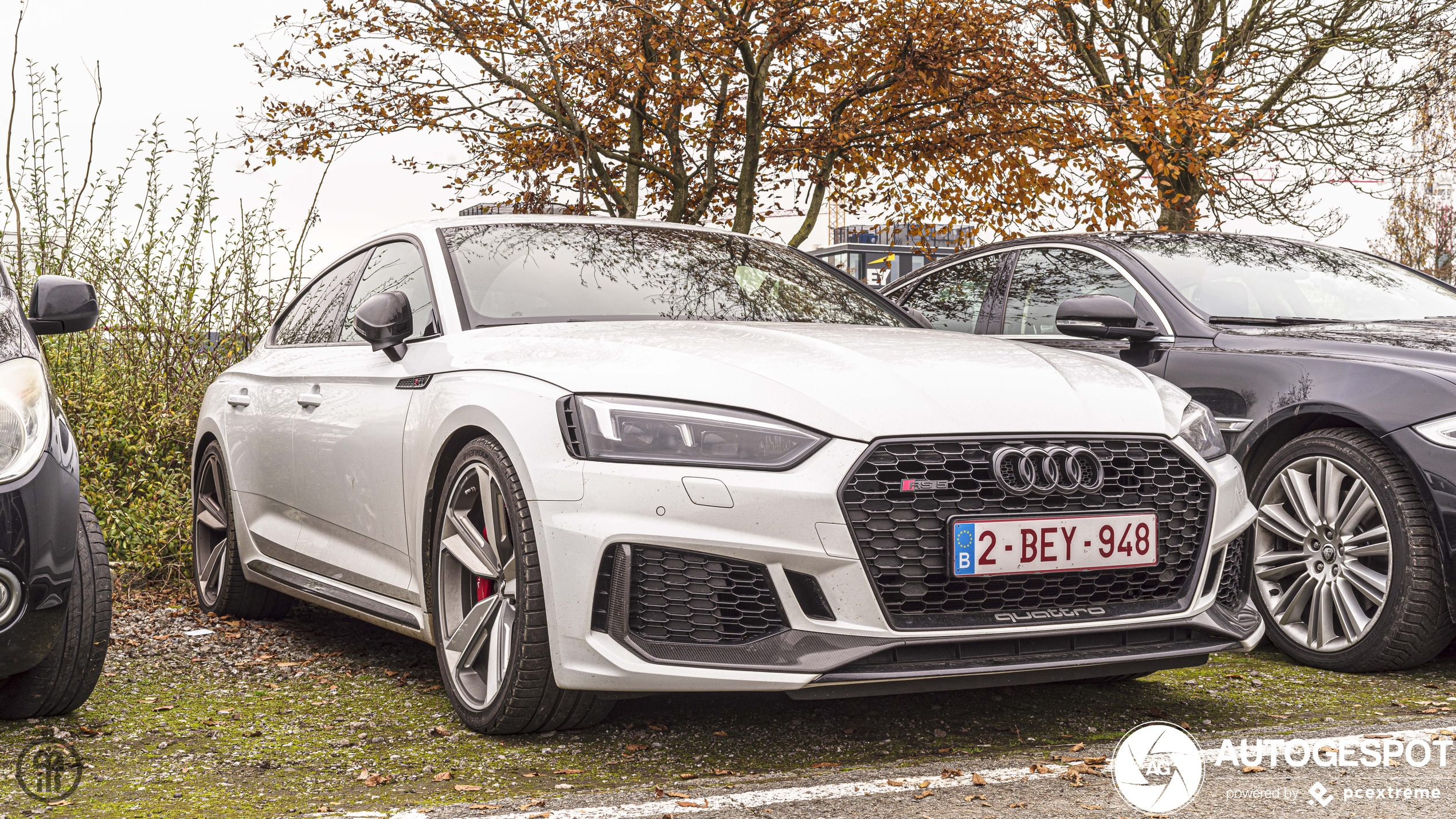 Audi RS5 Sportback B9