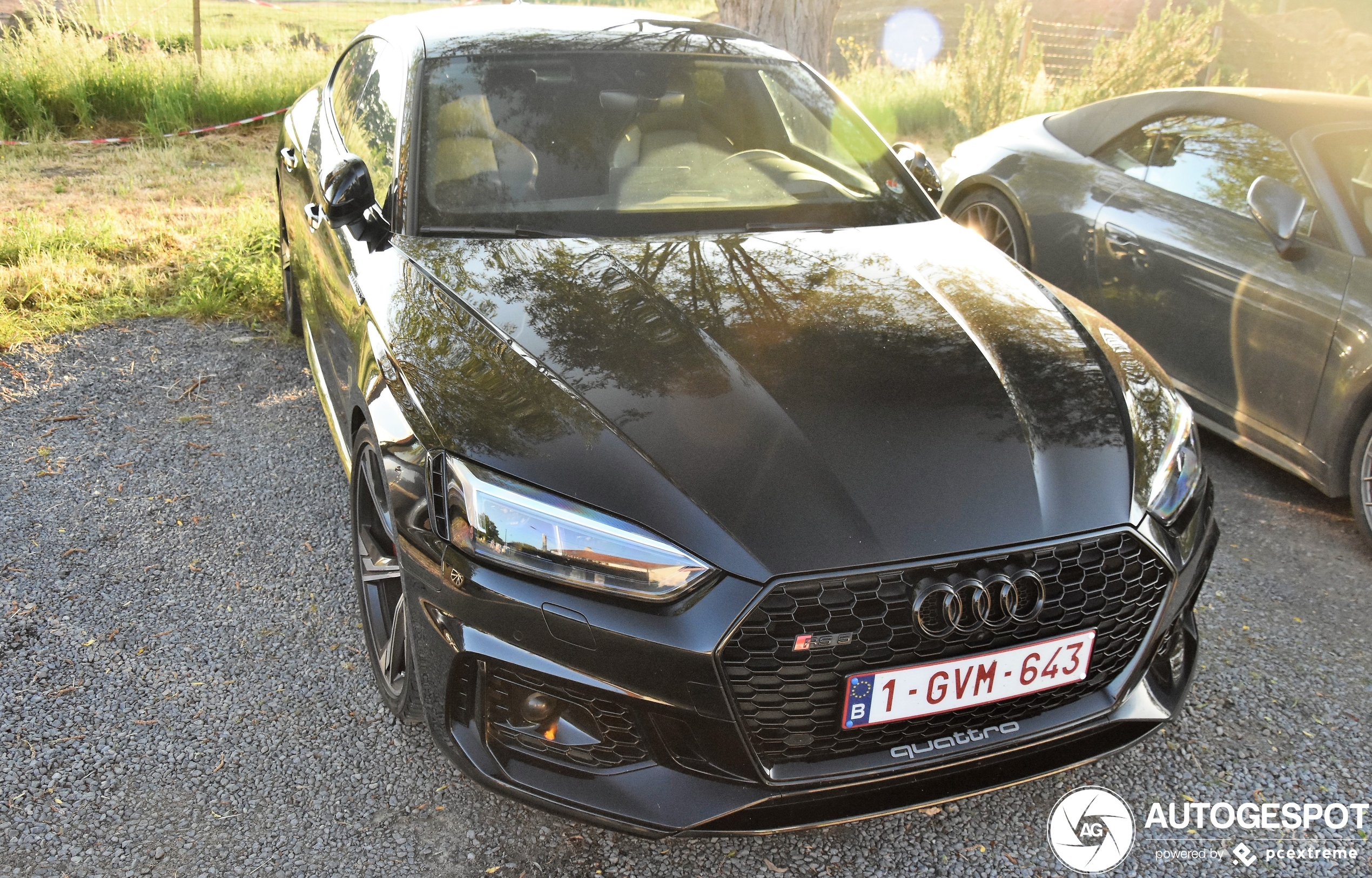 Audi RS5 Sportback B9