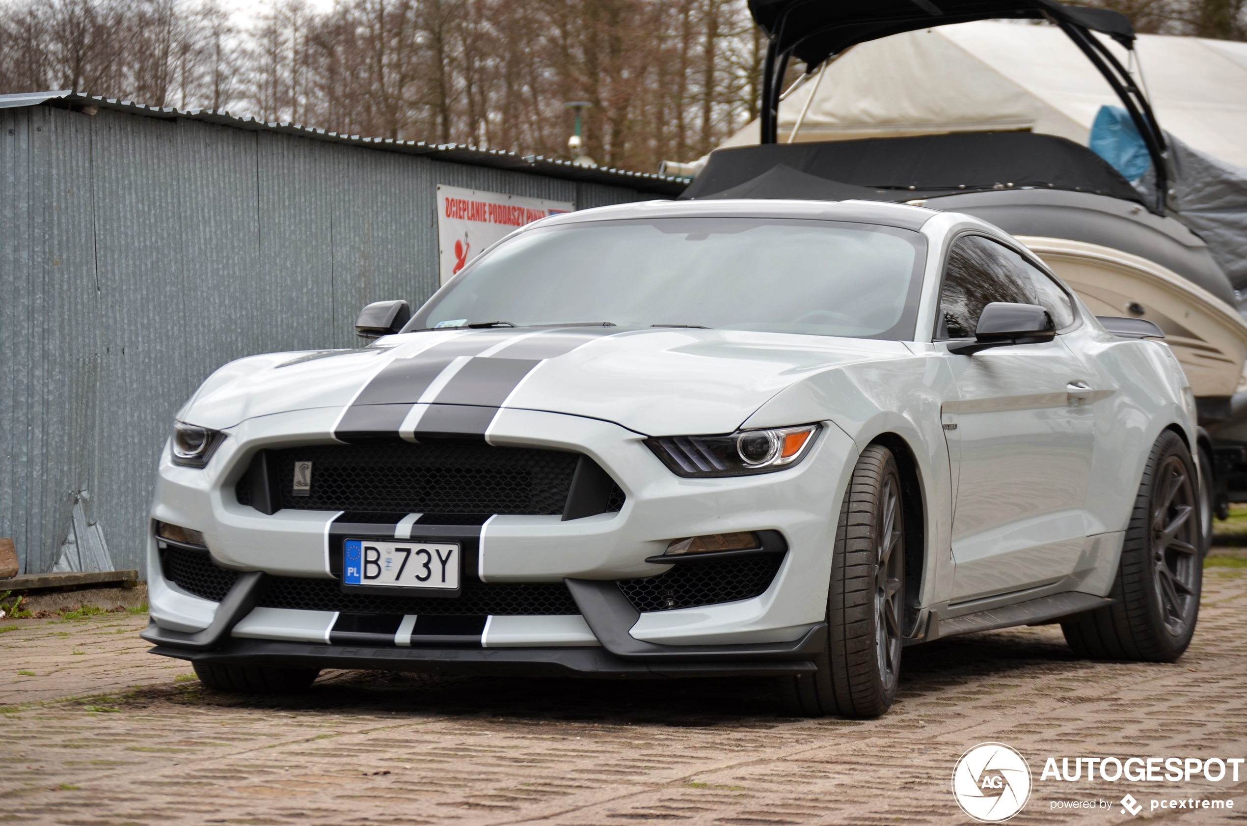 Ford Mustang Shelby GT350 2015