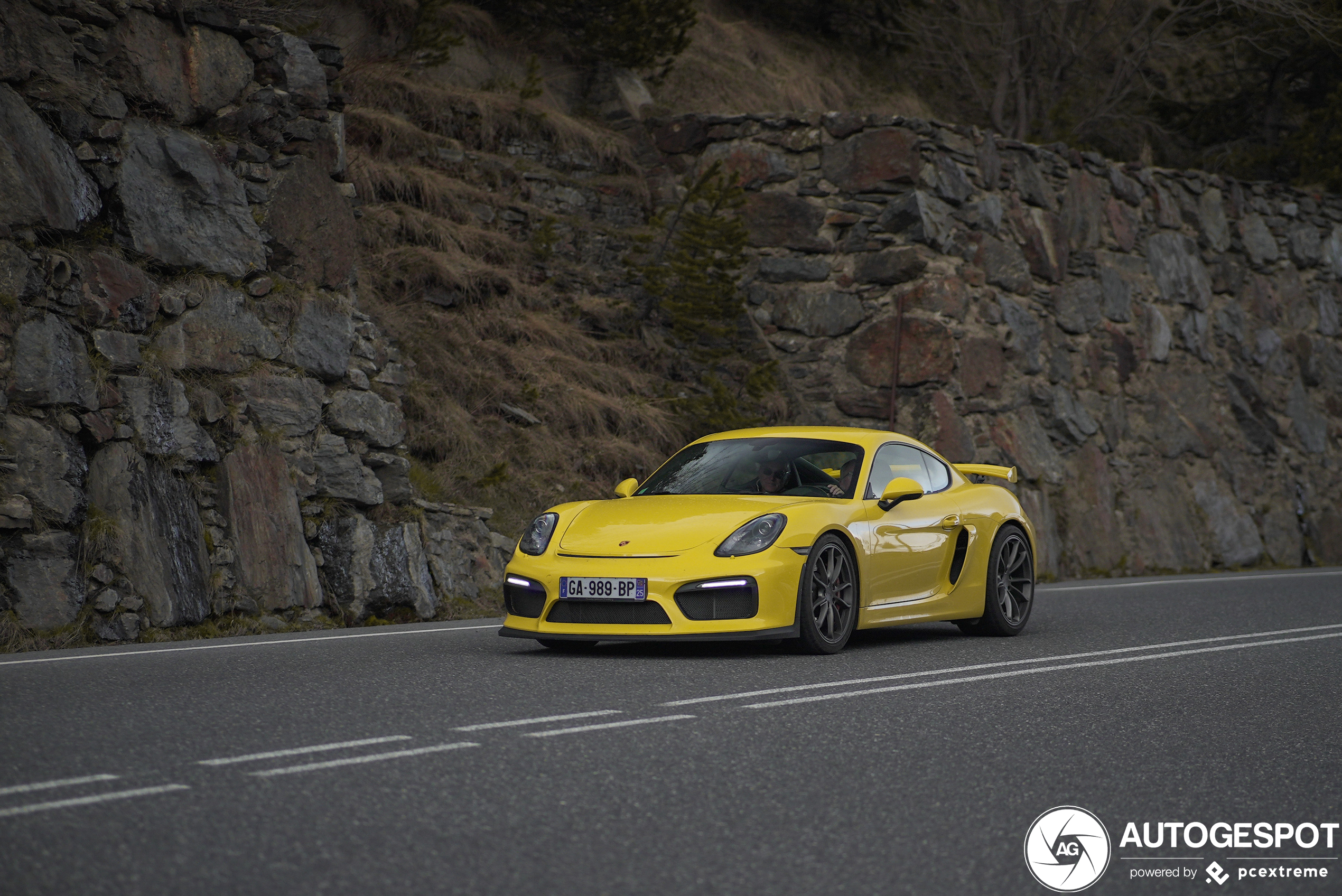 Porsche 981 Cayman GT4