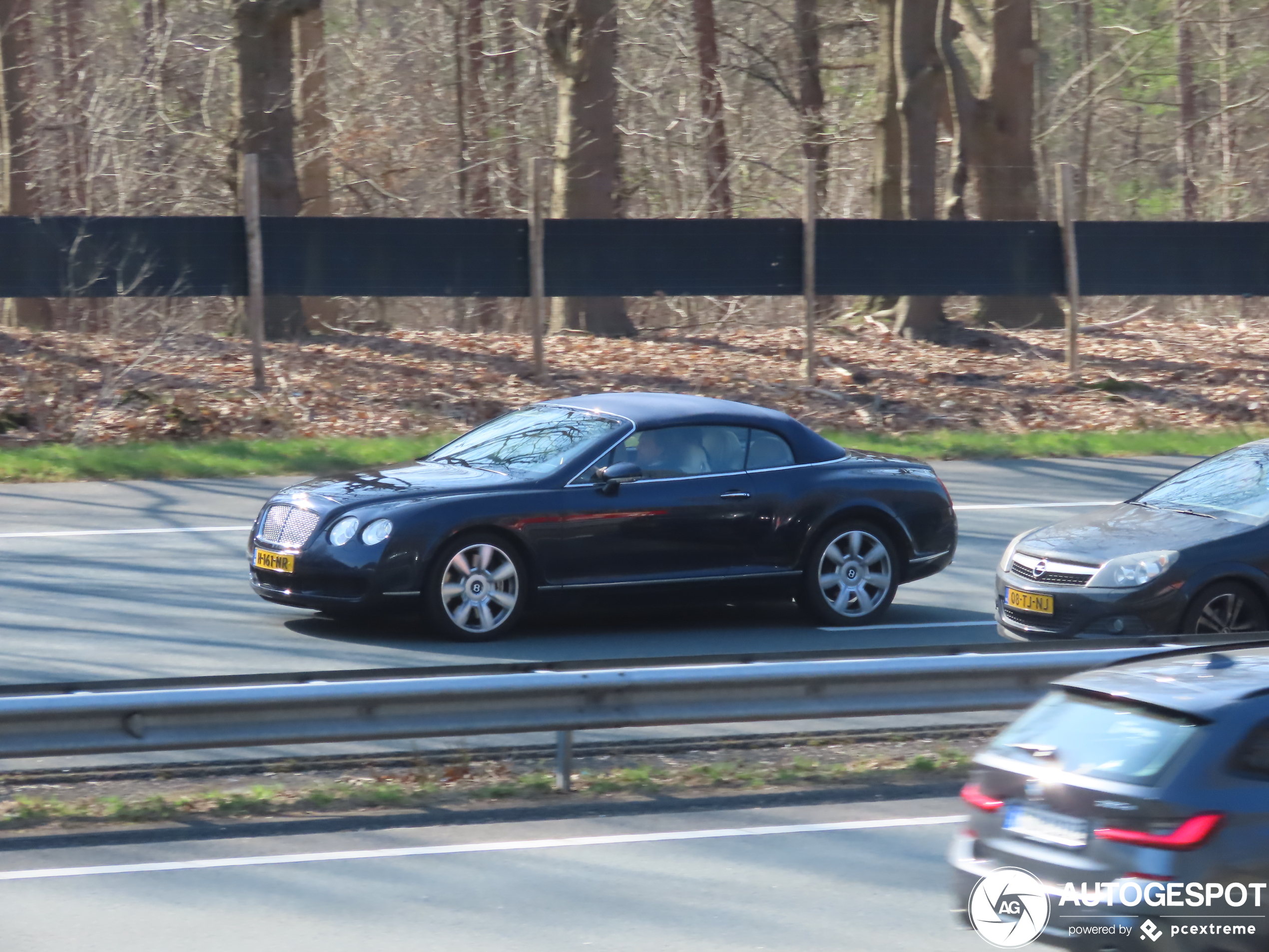 Bentley Continental GTC