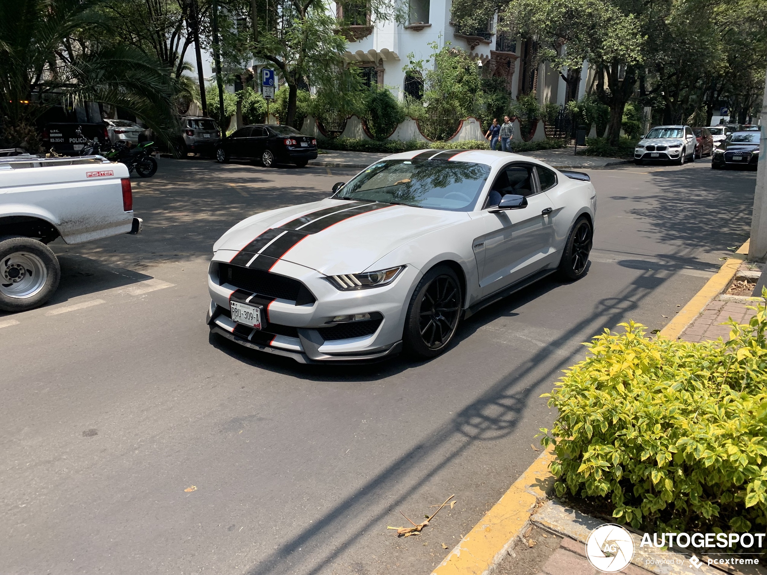 Ford Mustang Shelby GT350 2015