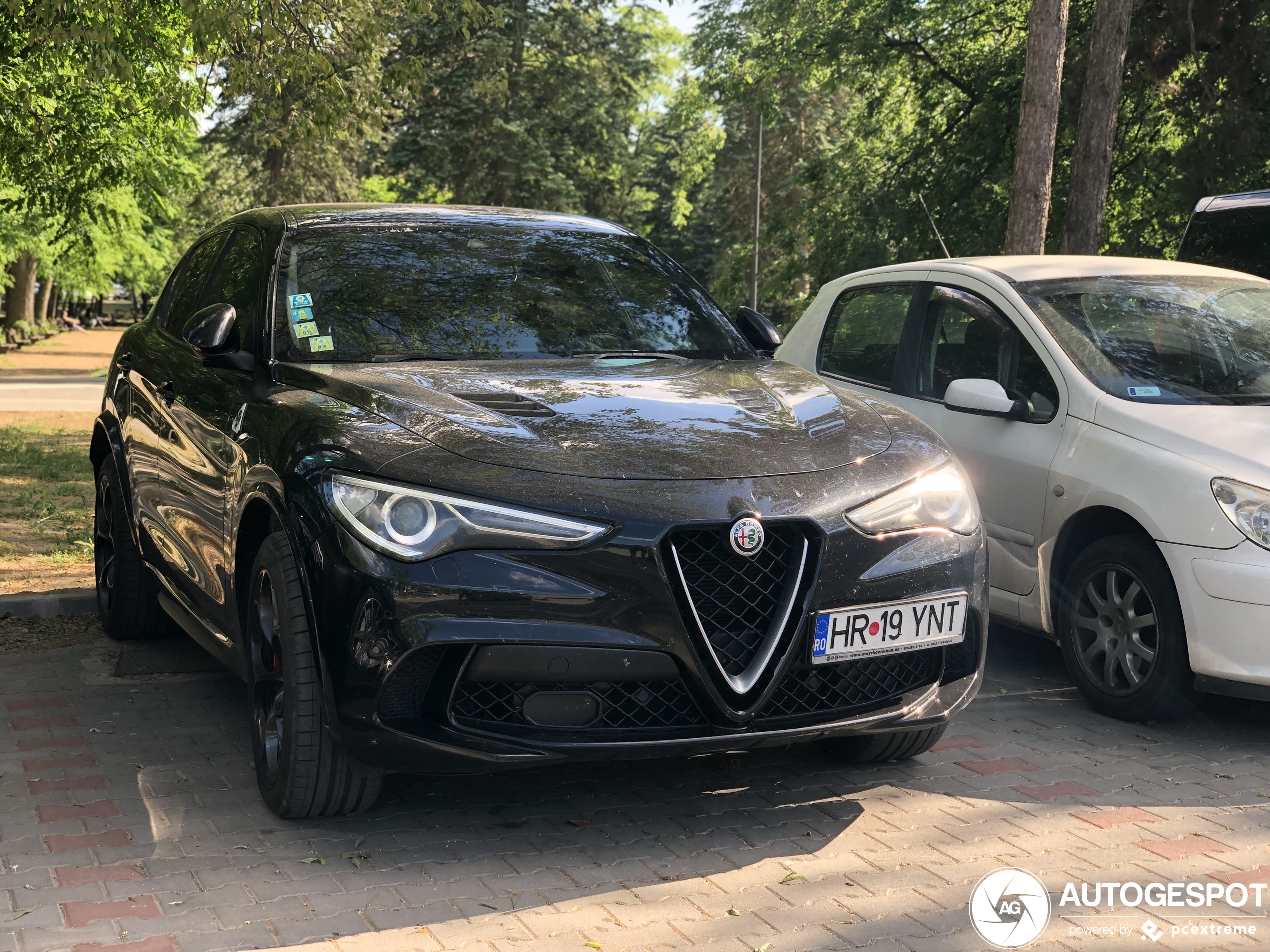 Alfa Romeo Stelvio Quadrifoglio