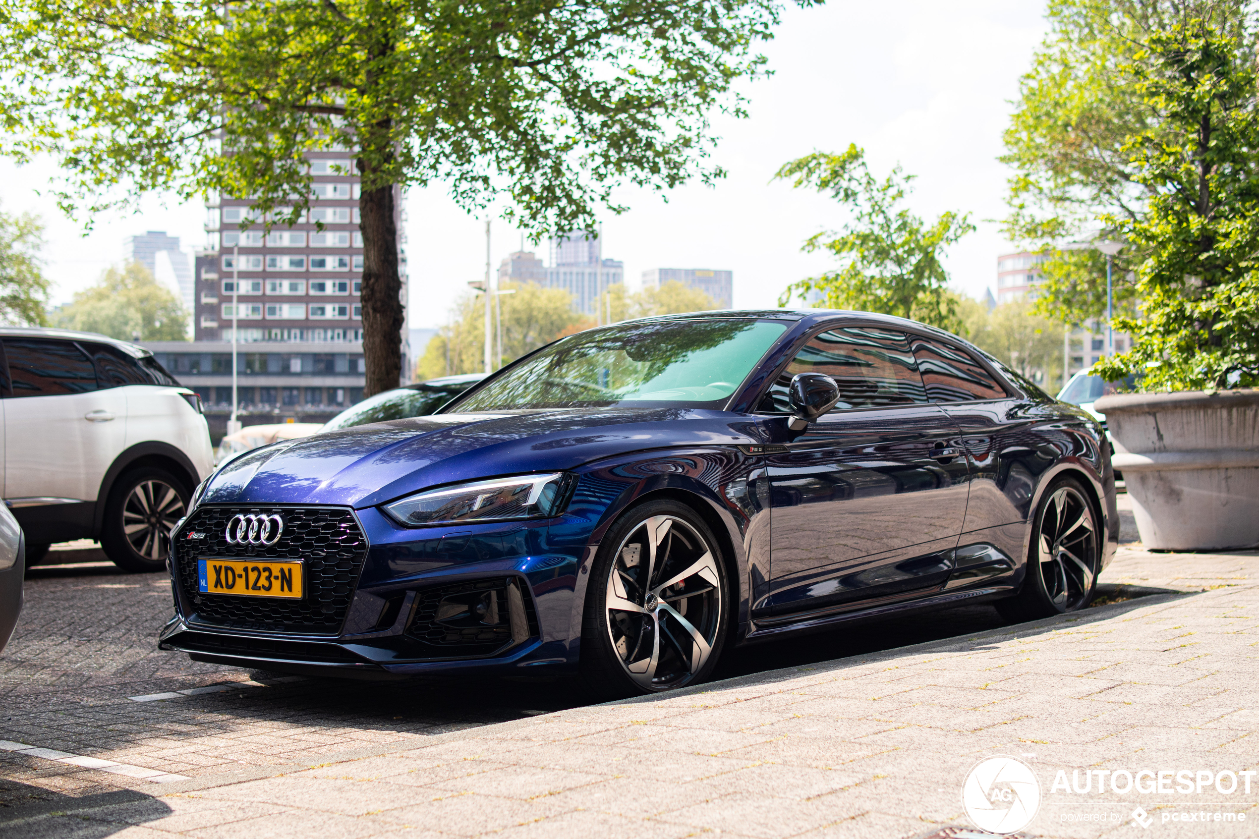 Audi RS5 B9