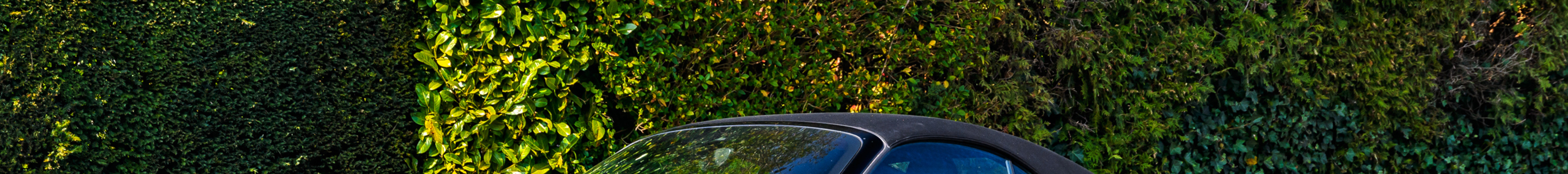 Porsche 991 Turbo Cabriolet MkI