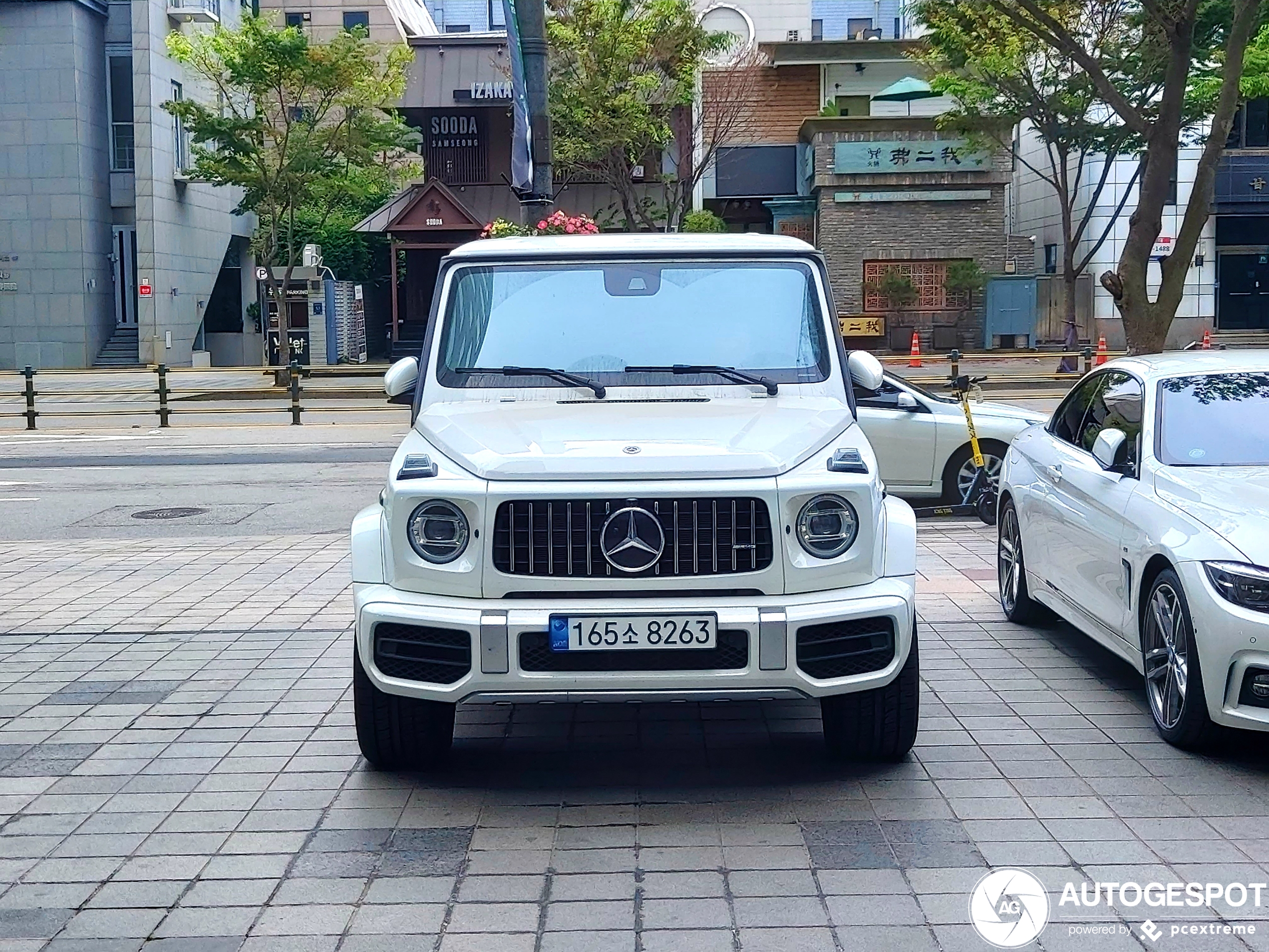 Mercedes-AMG G 63 W463 2018