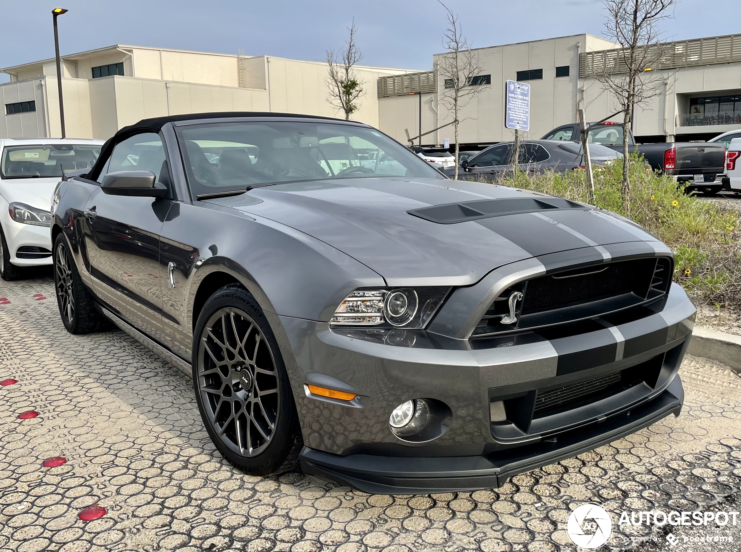 Ford Mustang Shelby GT500 Convertible 2014