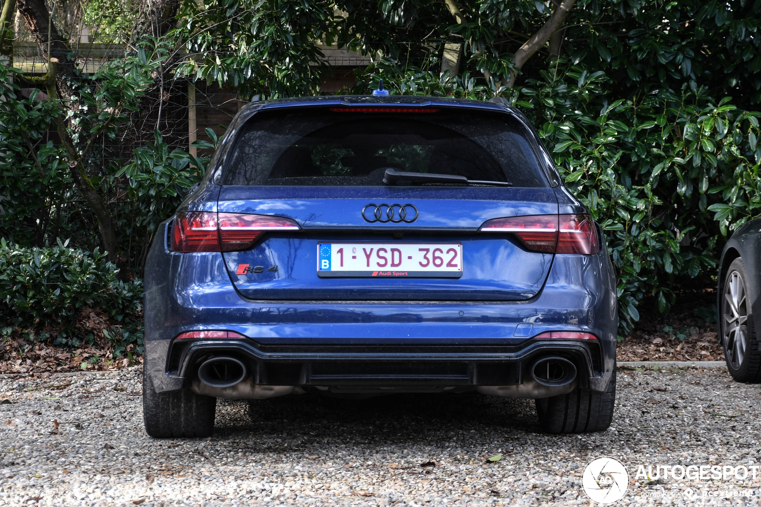 Audi RS4 Avant B9 2020