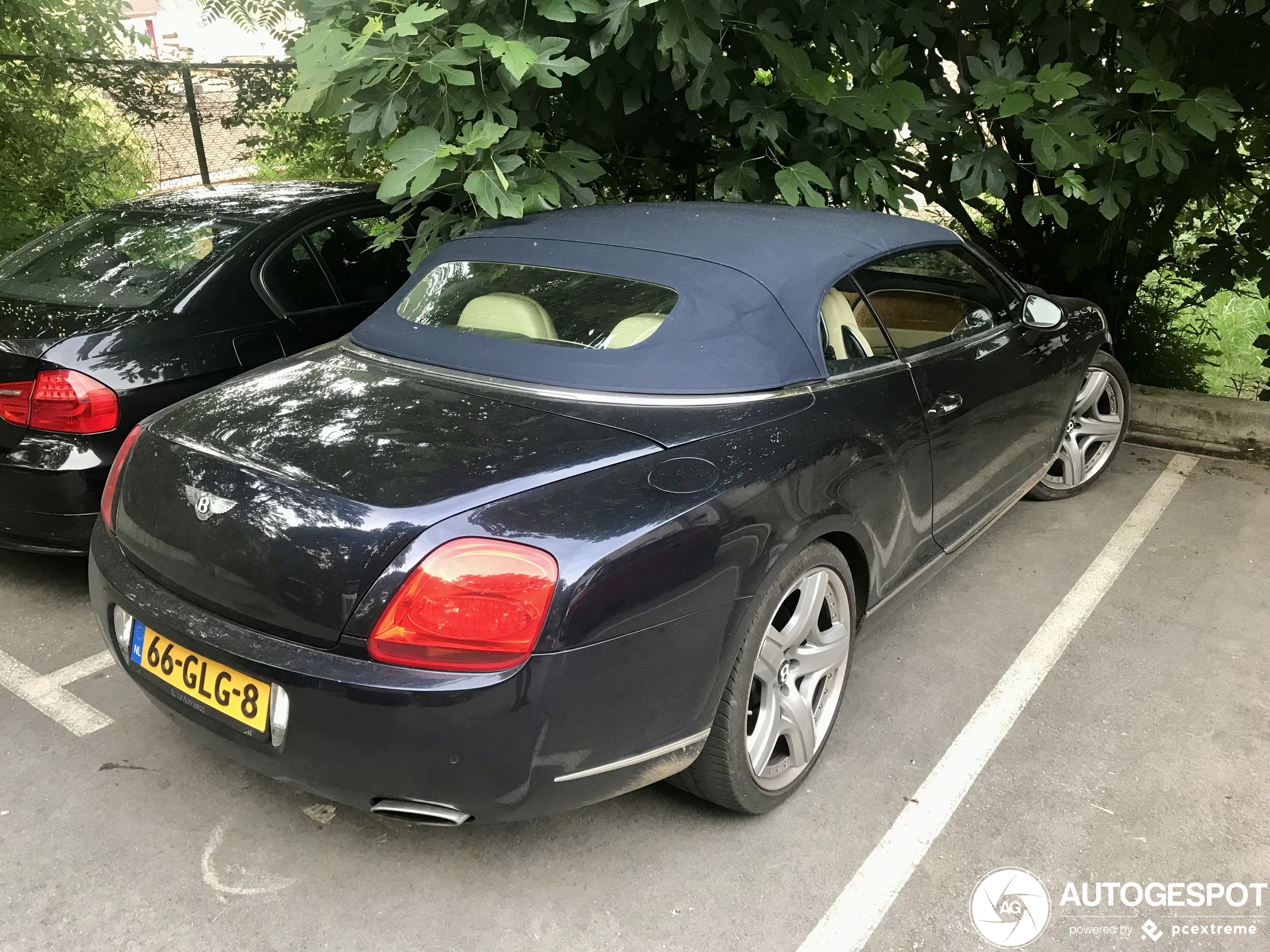 Bentley Continental GTC