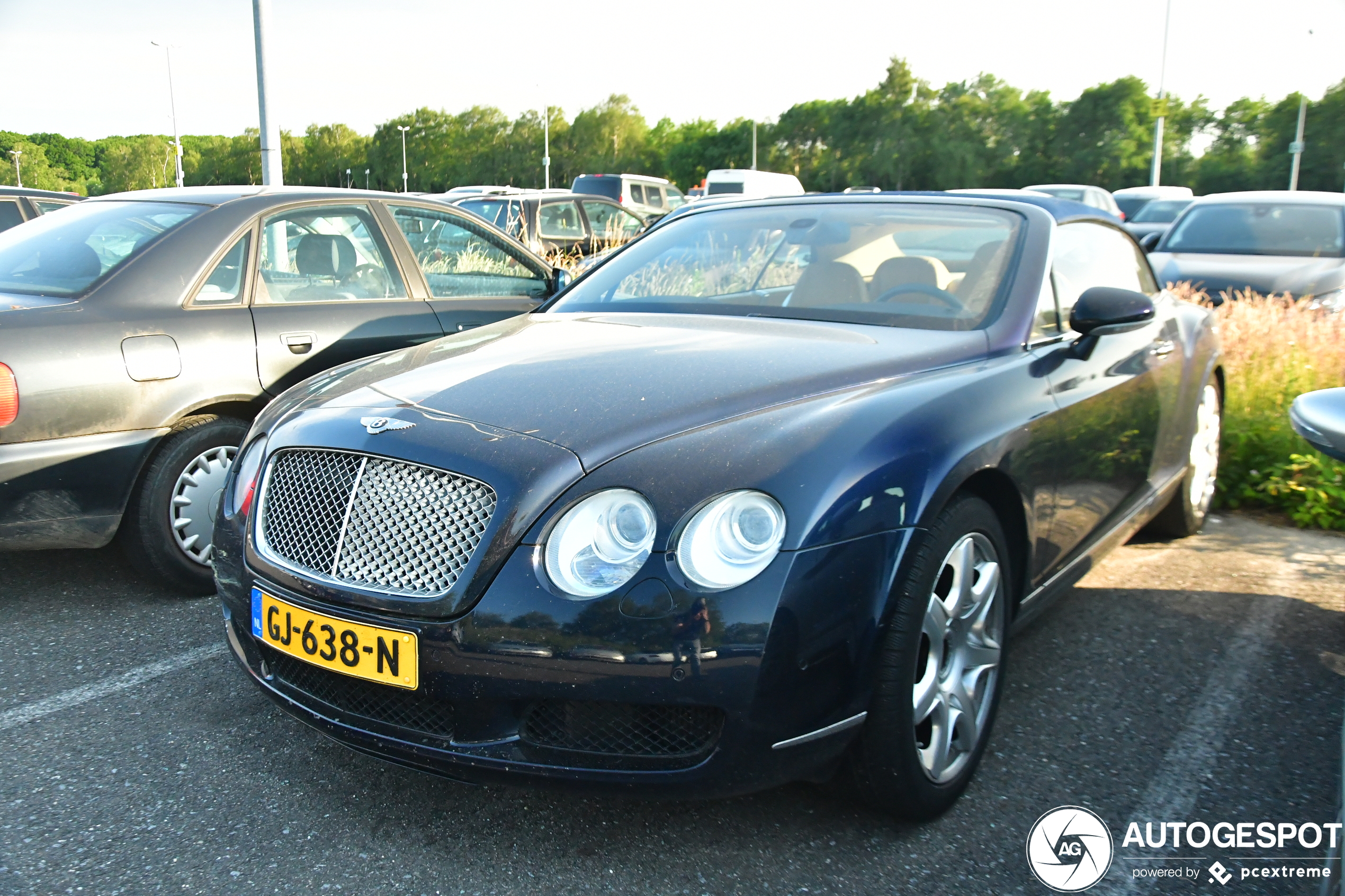 Bentley Continental GTC