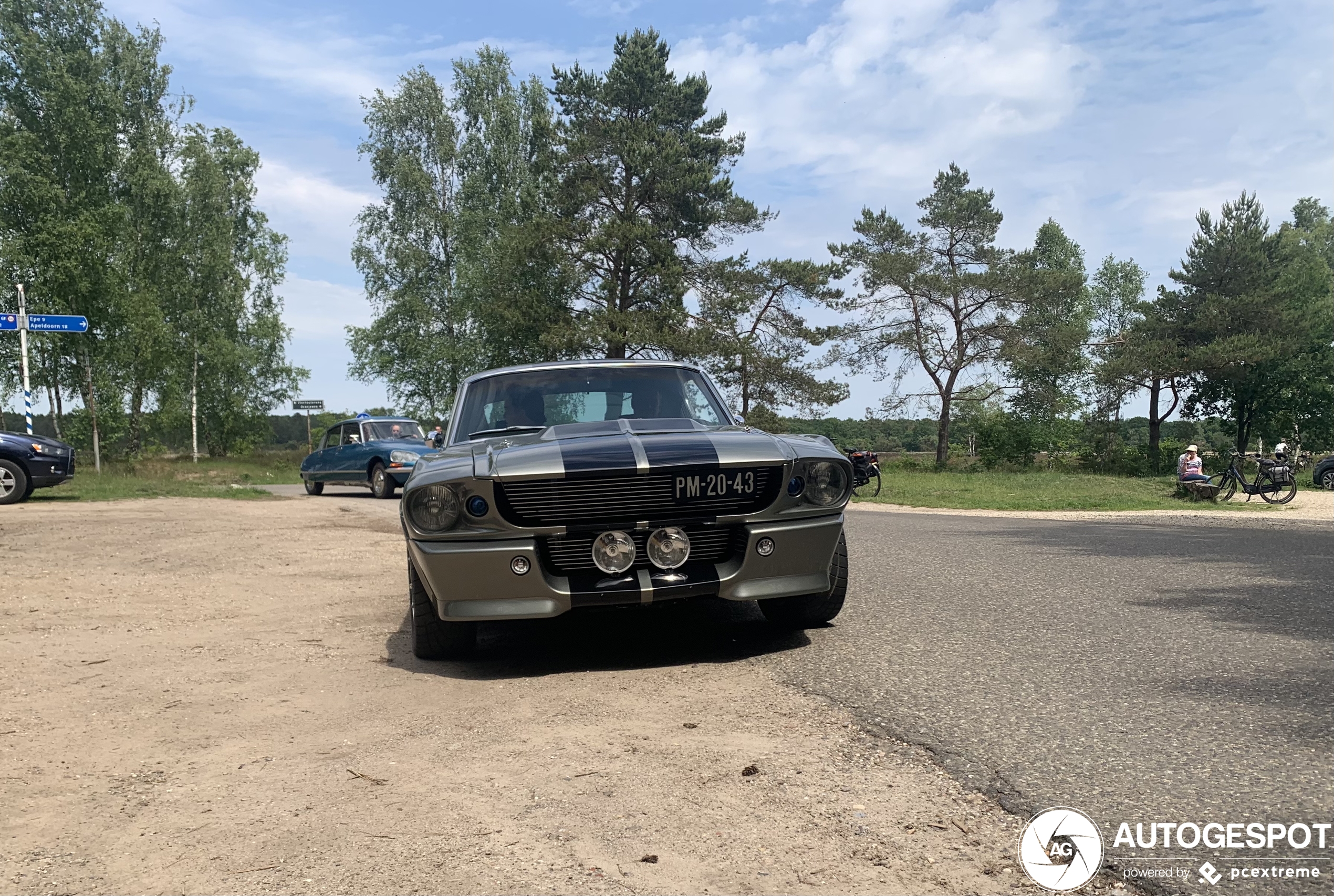 Ford Mustang Shelby G.T. 500E Eleanor