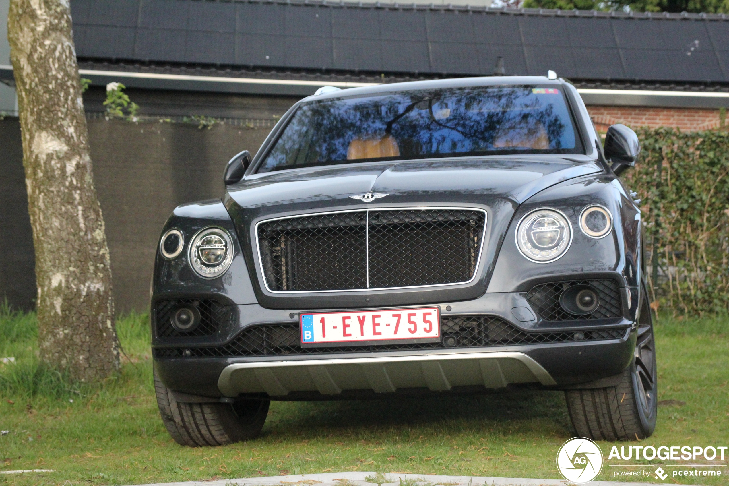 Bentley Bentayga V8