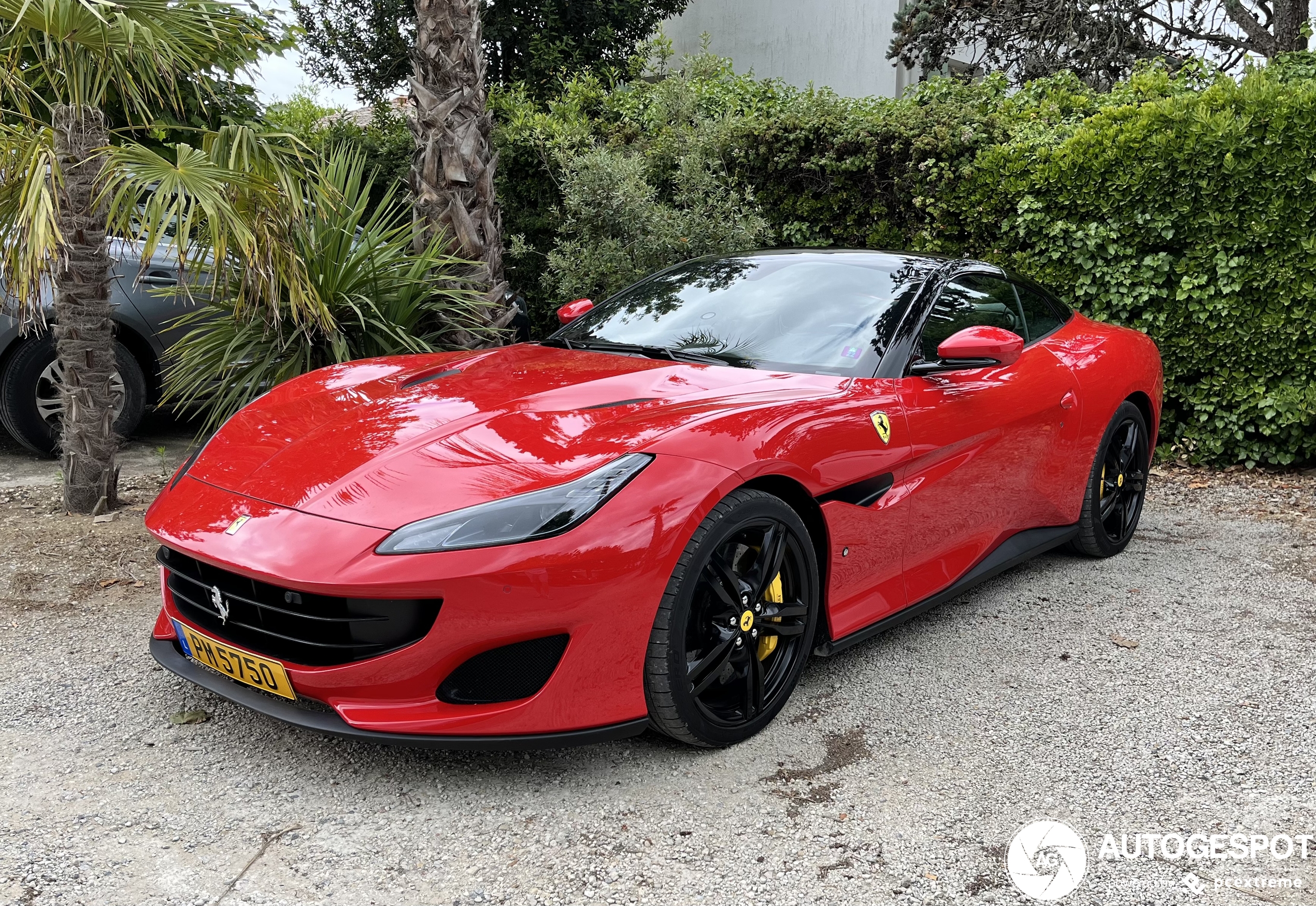 Ferrari Portofino