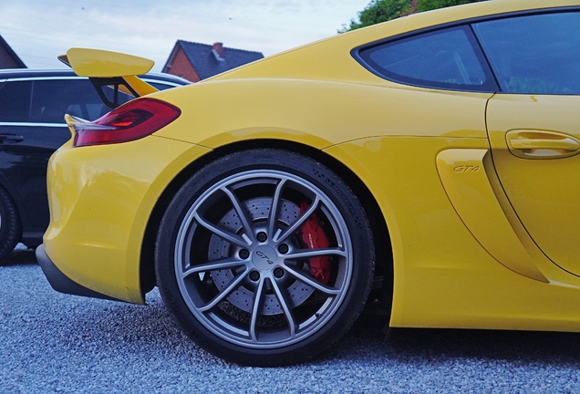 Porsche 981 Cayman GT4