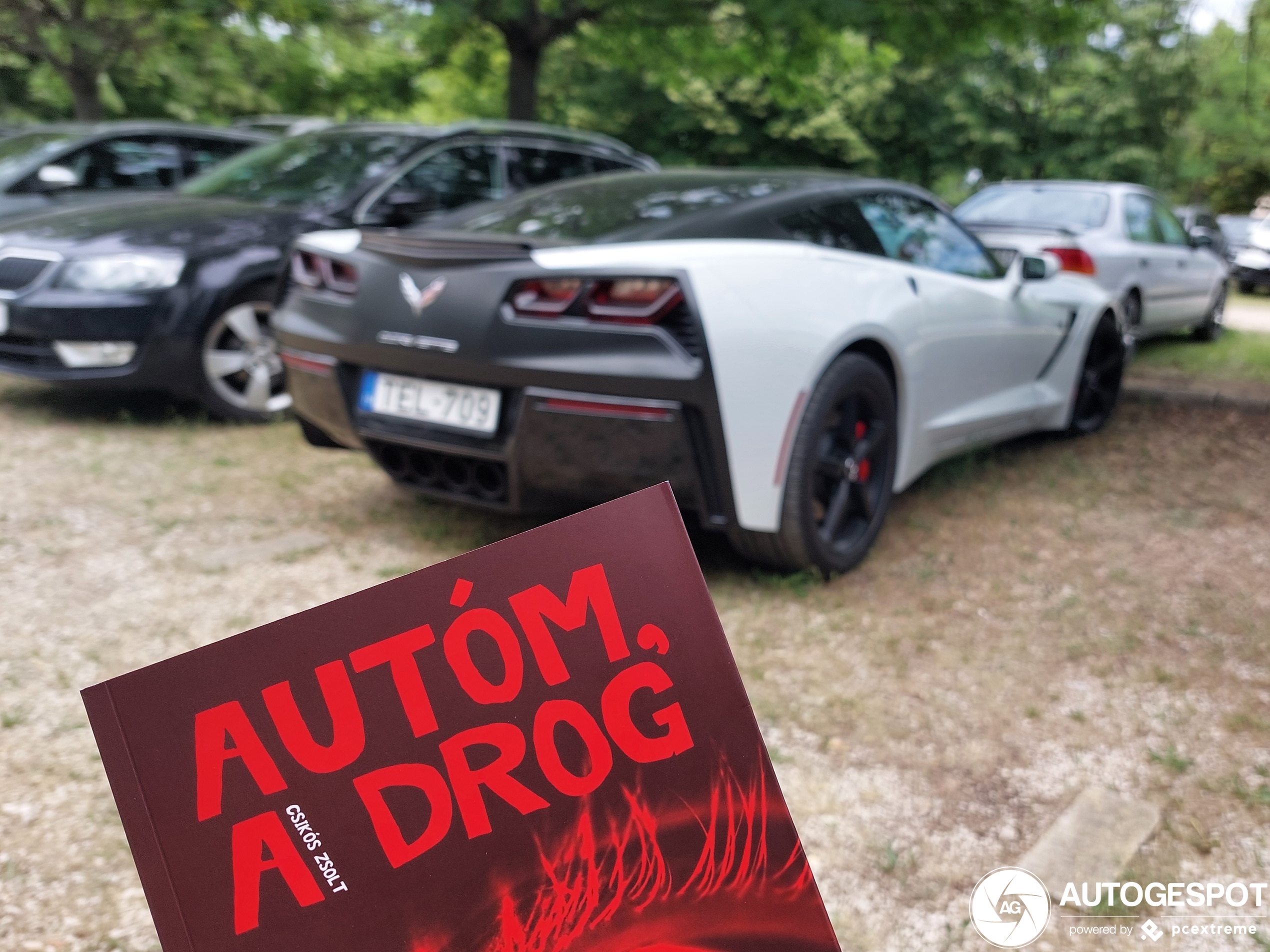 Chevrolet Corvette C7 Stingray