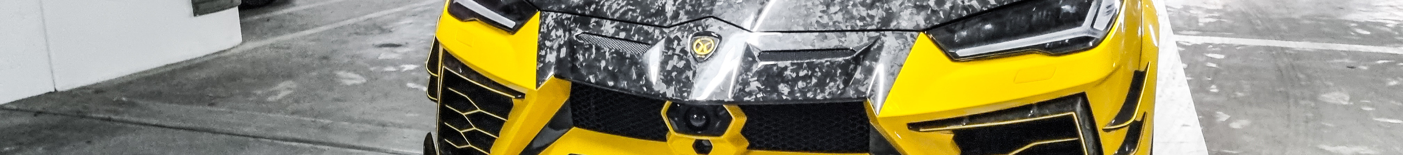Lamborghini Urus Mansory Venatus Evo