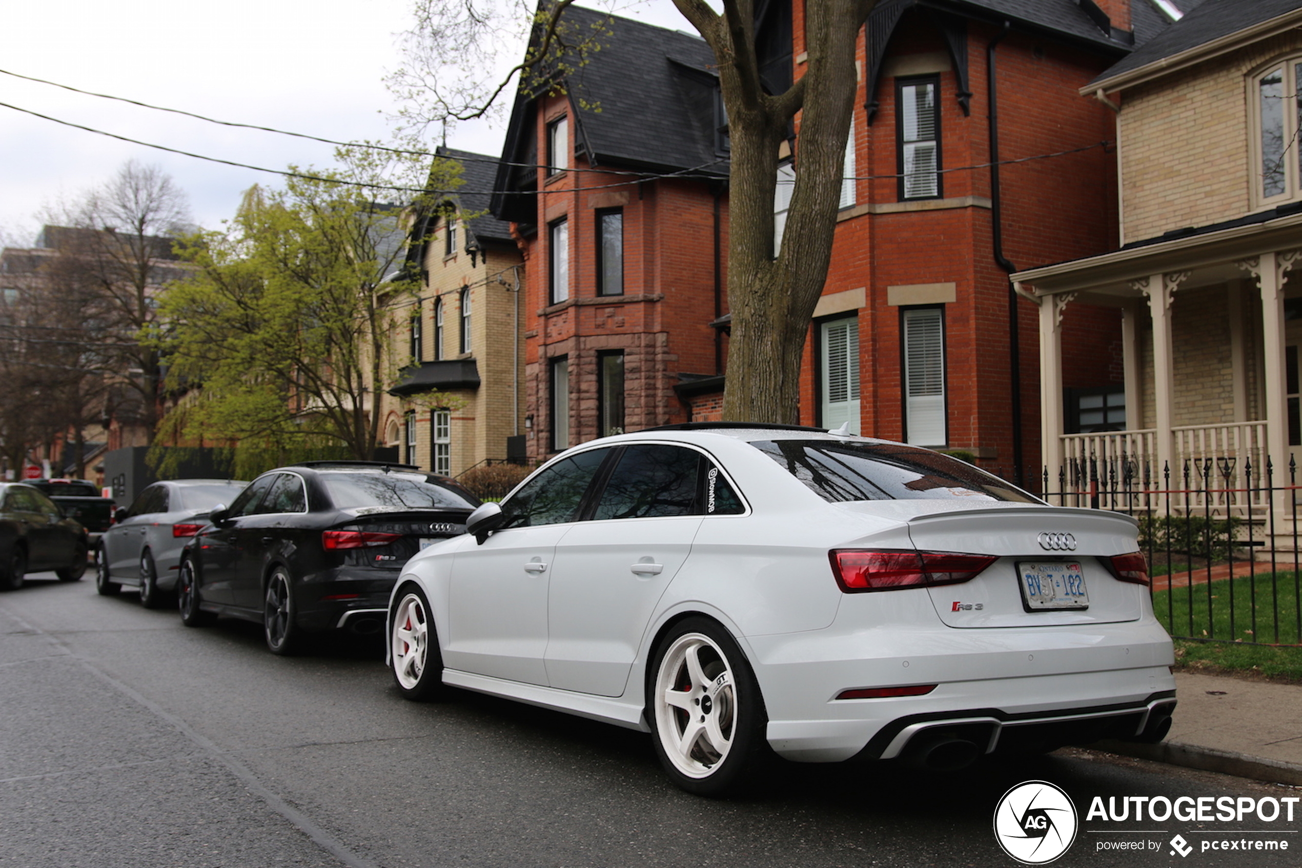 Audi RS3 Sedan 8V