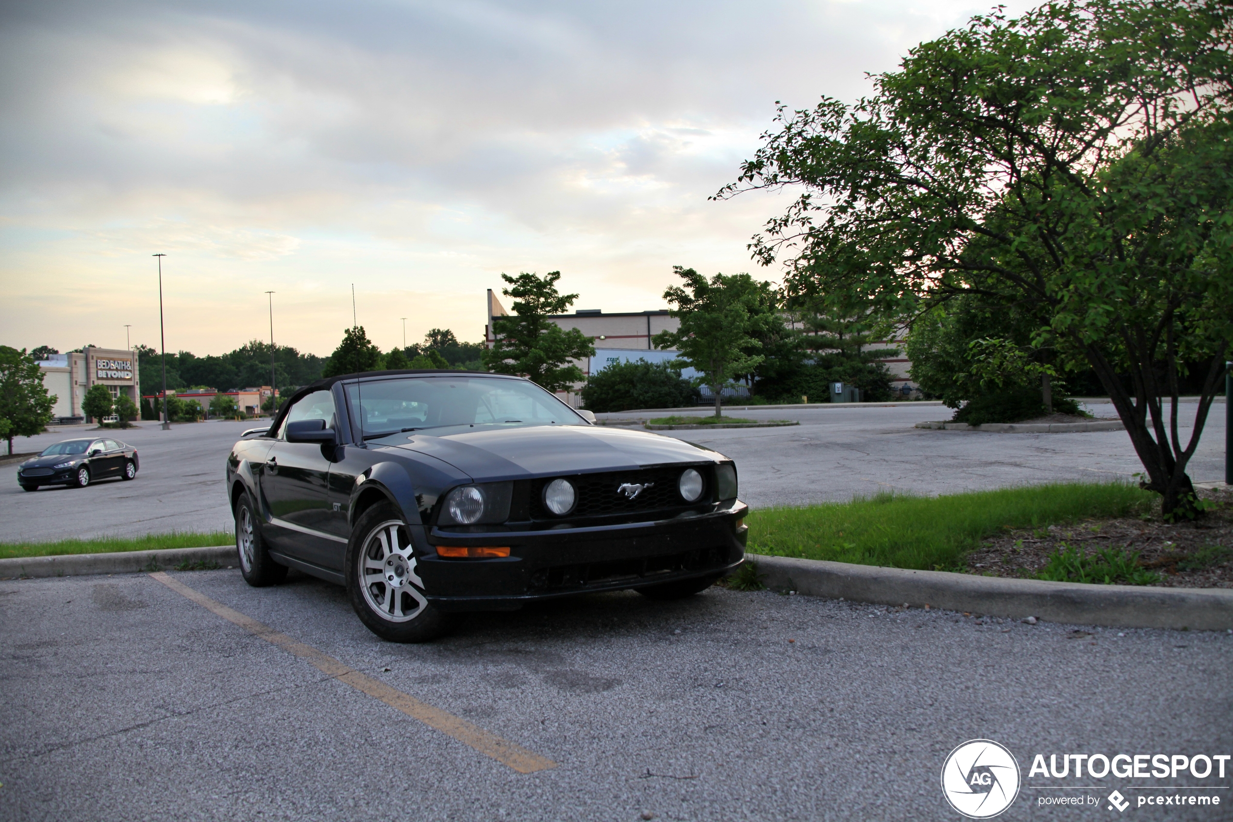 Ford Mustang GT Convertible