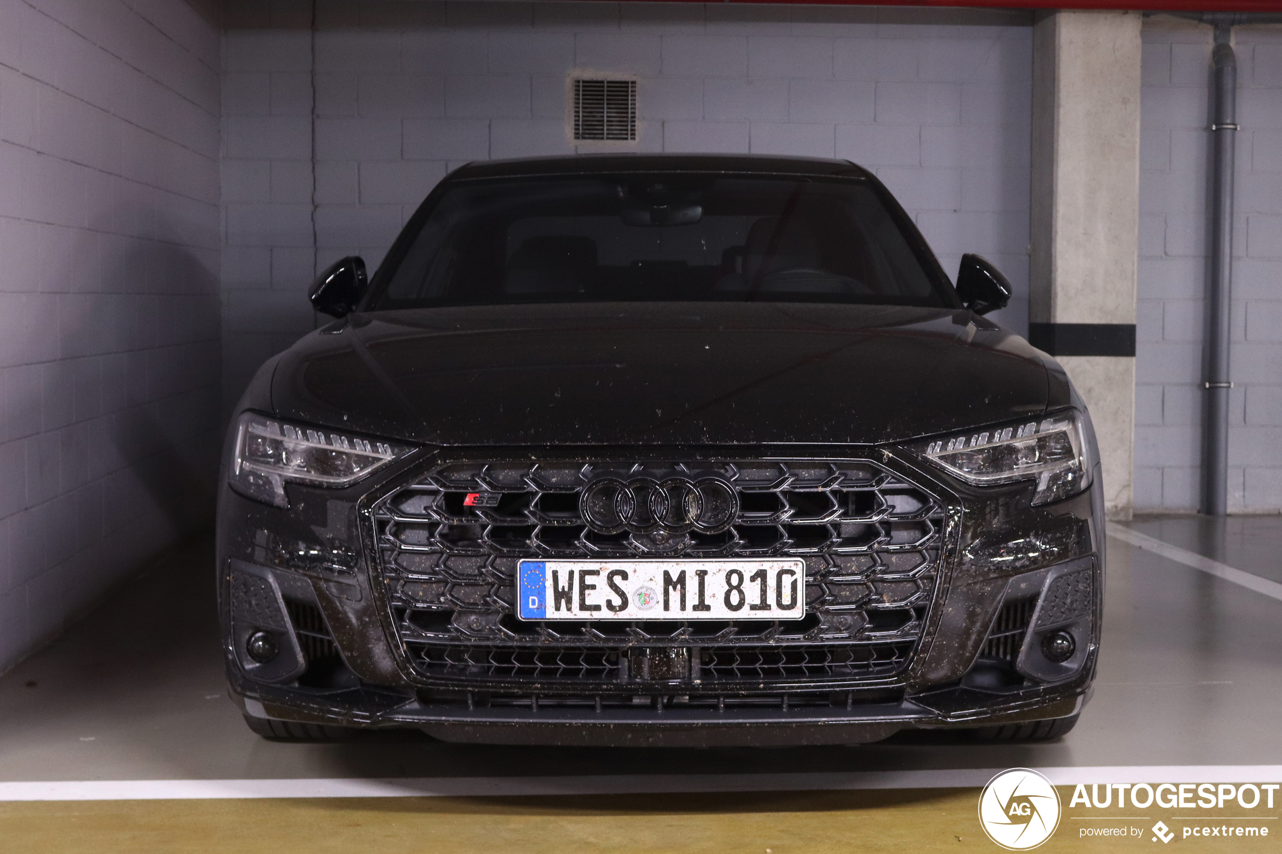 Audi S8 D5 2022