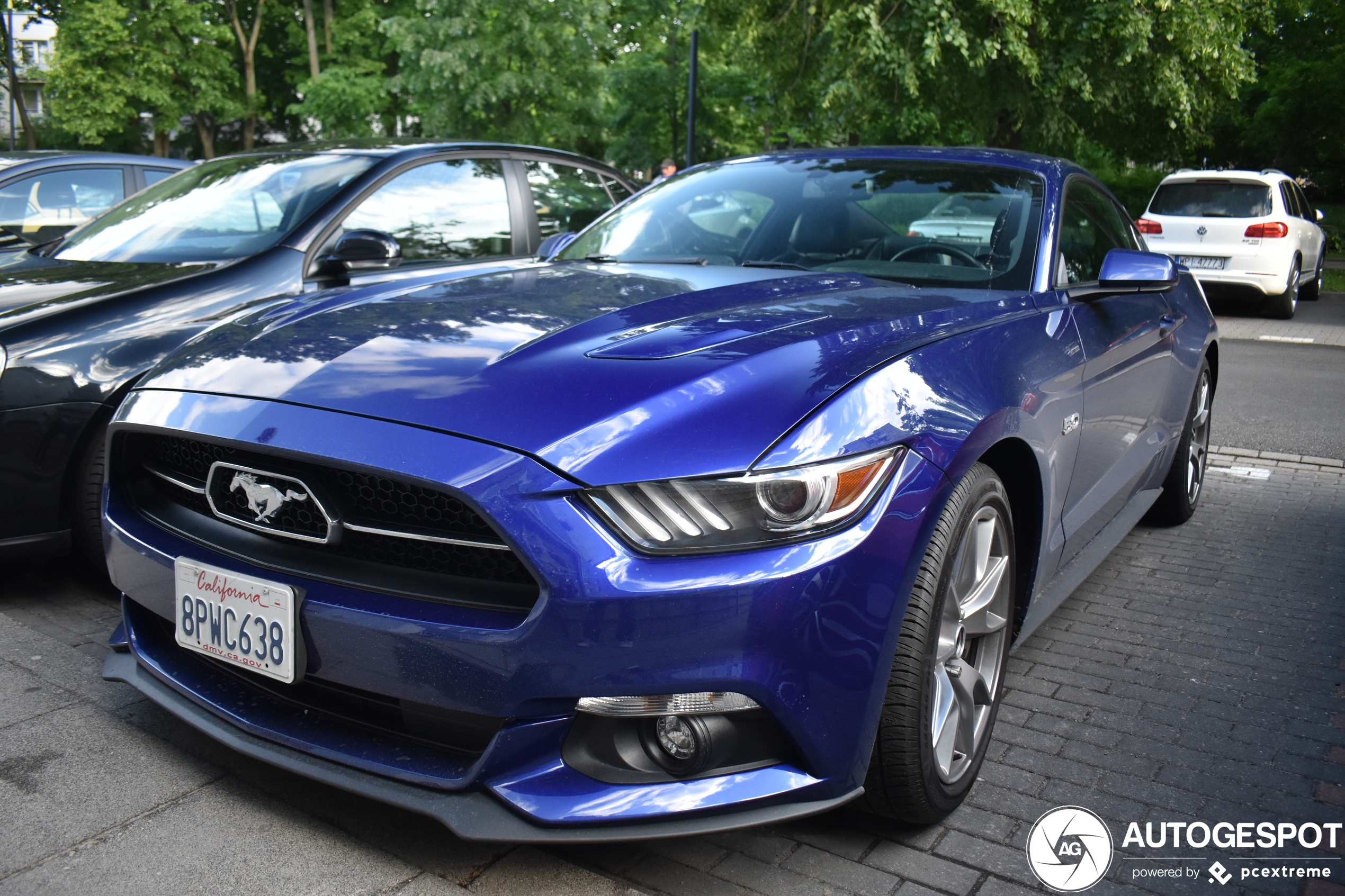 Ford Mustang GT 50th Anniversary Edition