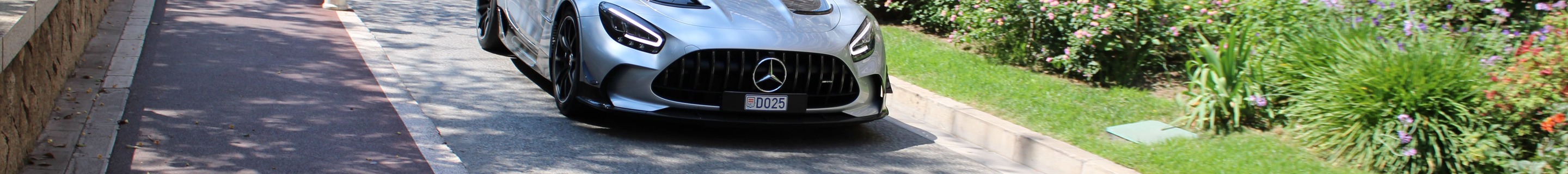 Mercedes-AMG GT Black Series C190