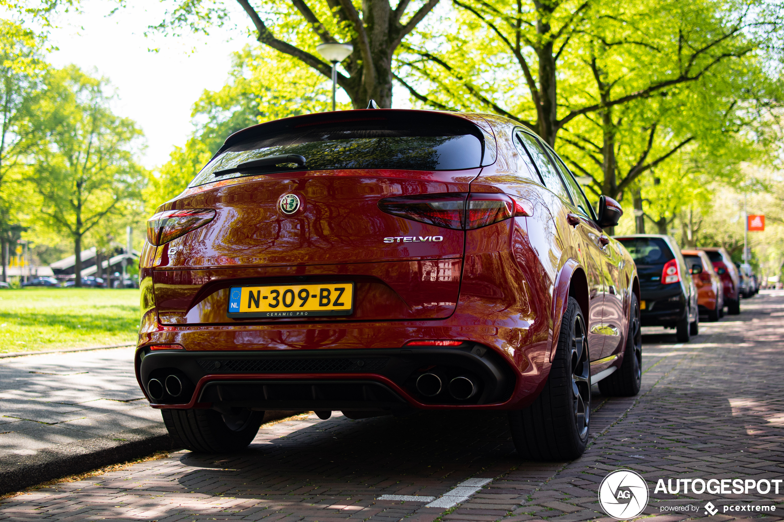 Alfa Romeo Stelvio Quadrifoglio