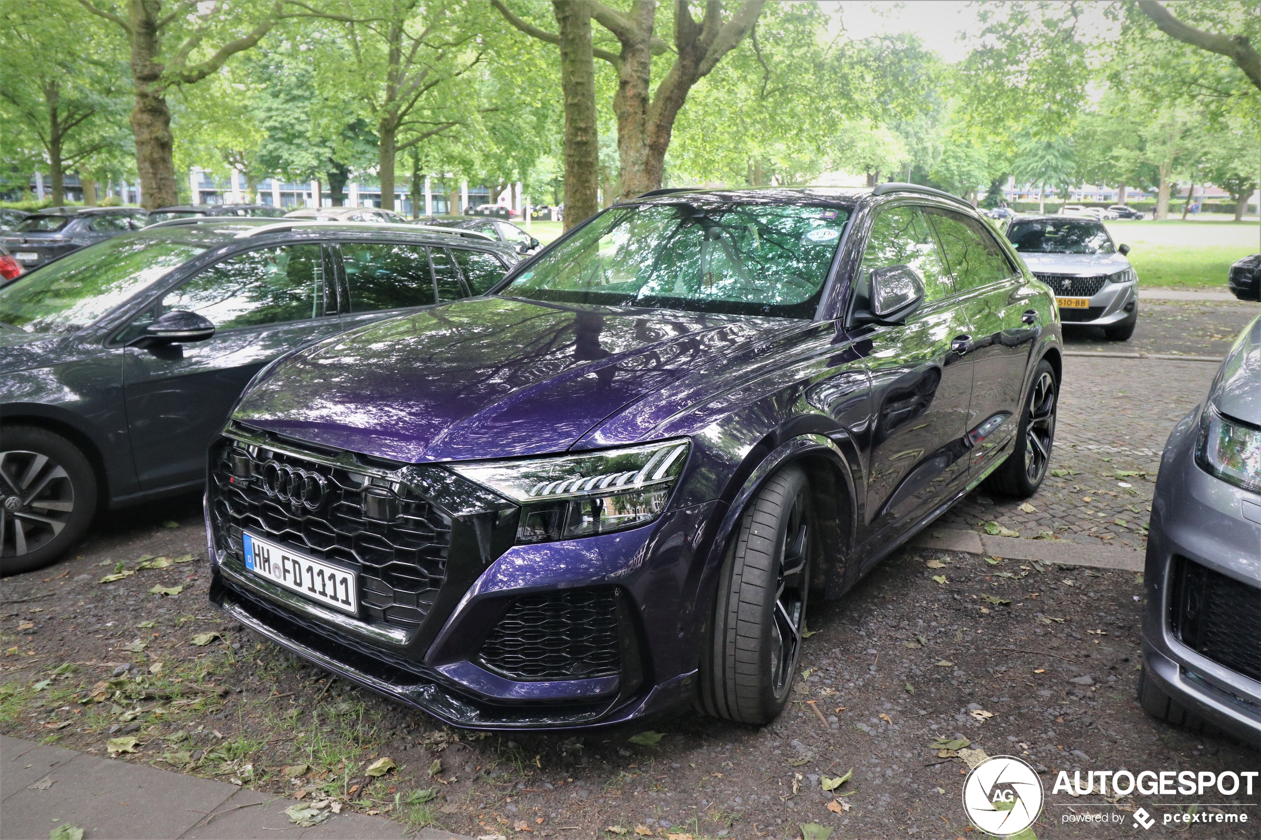 Audi RS Q8