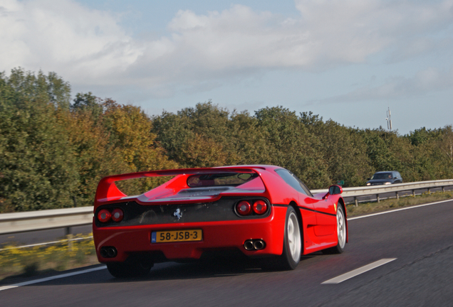 Ferrari F50