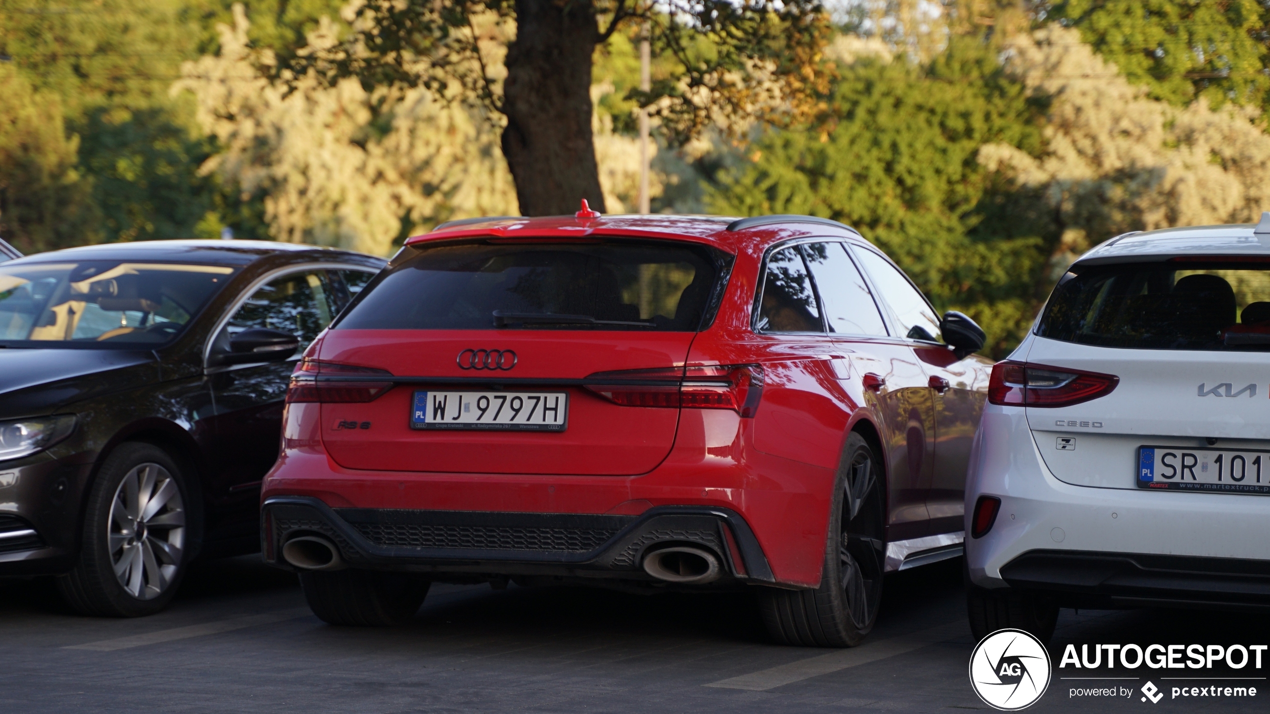 Audi RS6 Avant C8