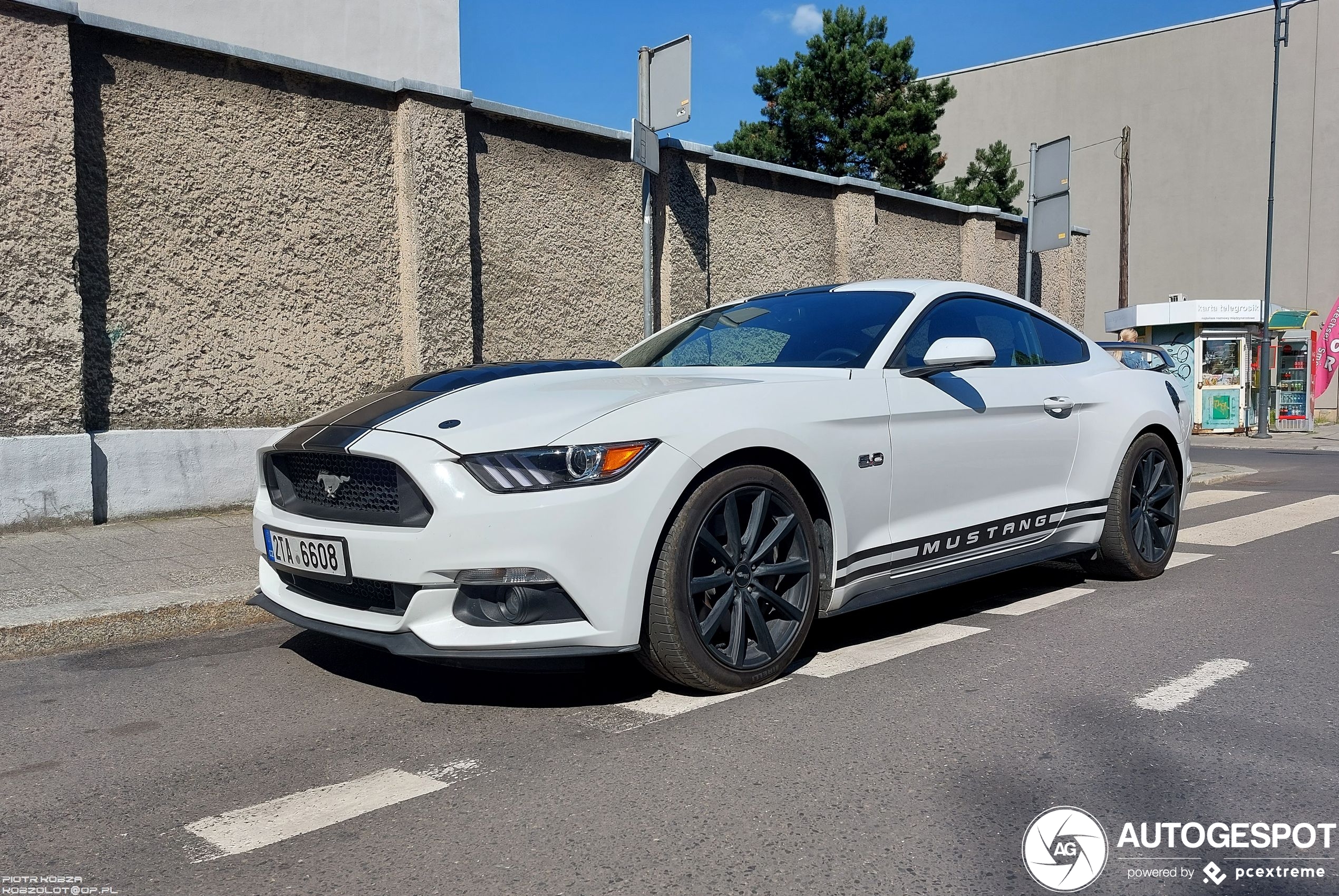 Ford Mustang GT 50th Anniversary Edition