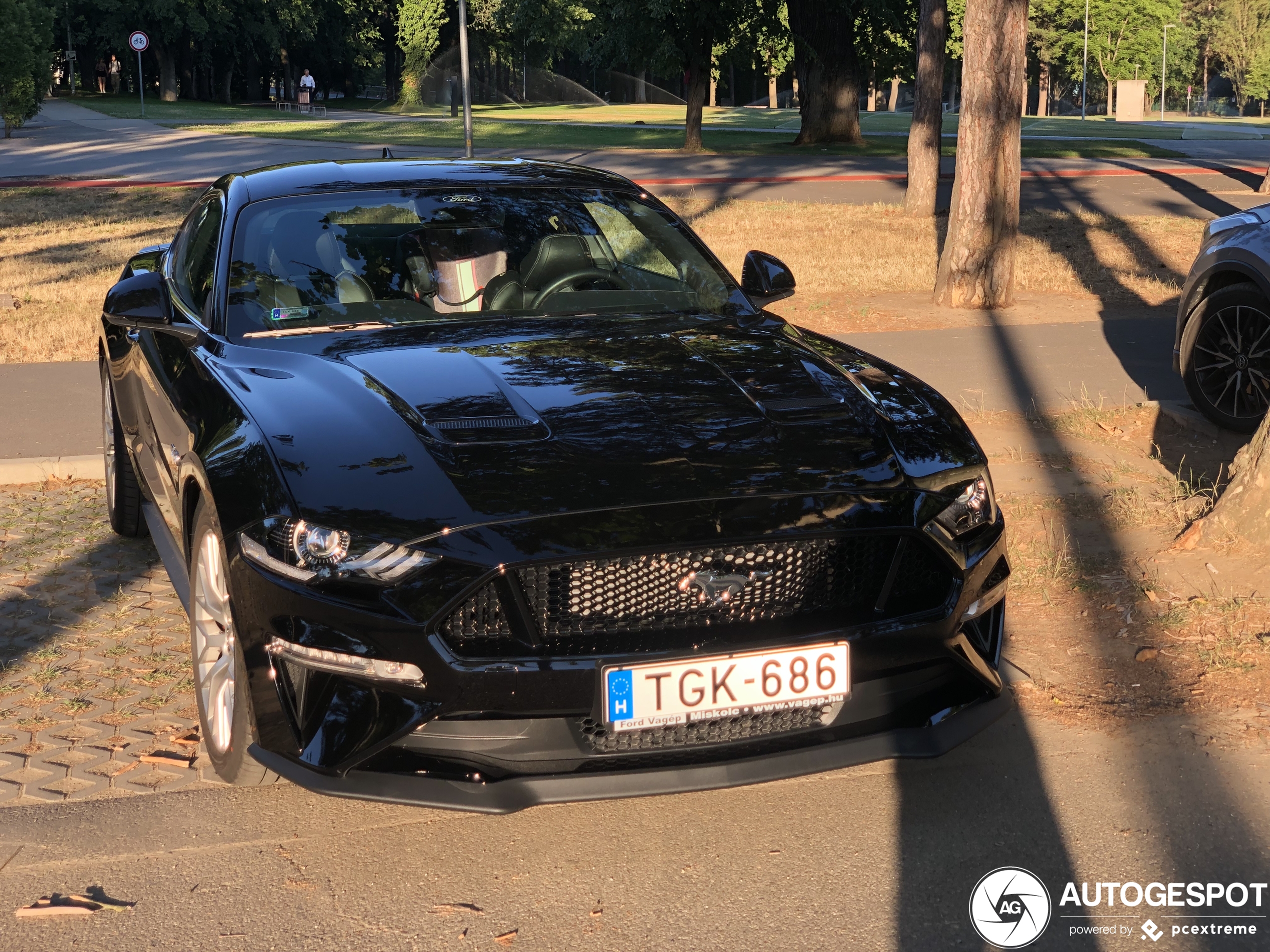 Ford Mustang GT 2018