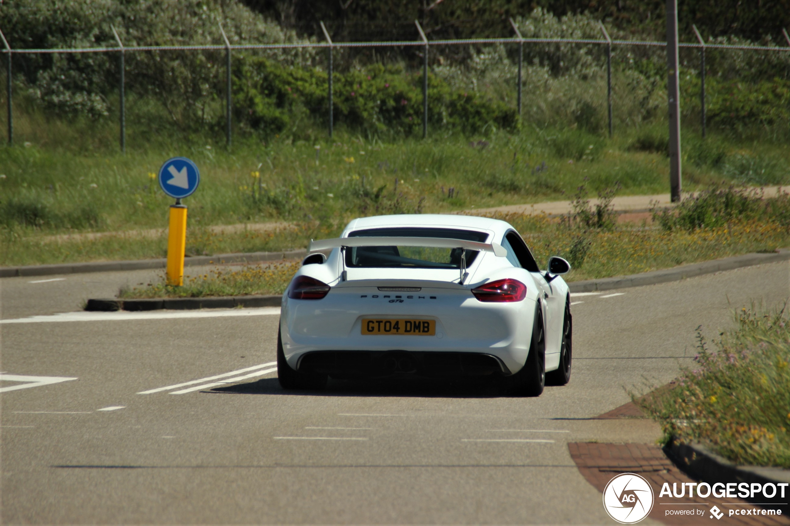 Porsche 981 Cayman GT4