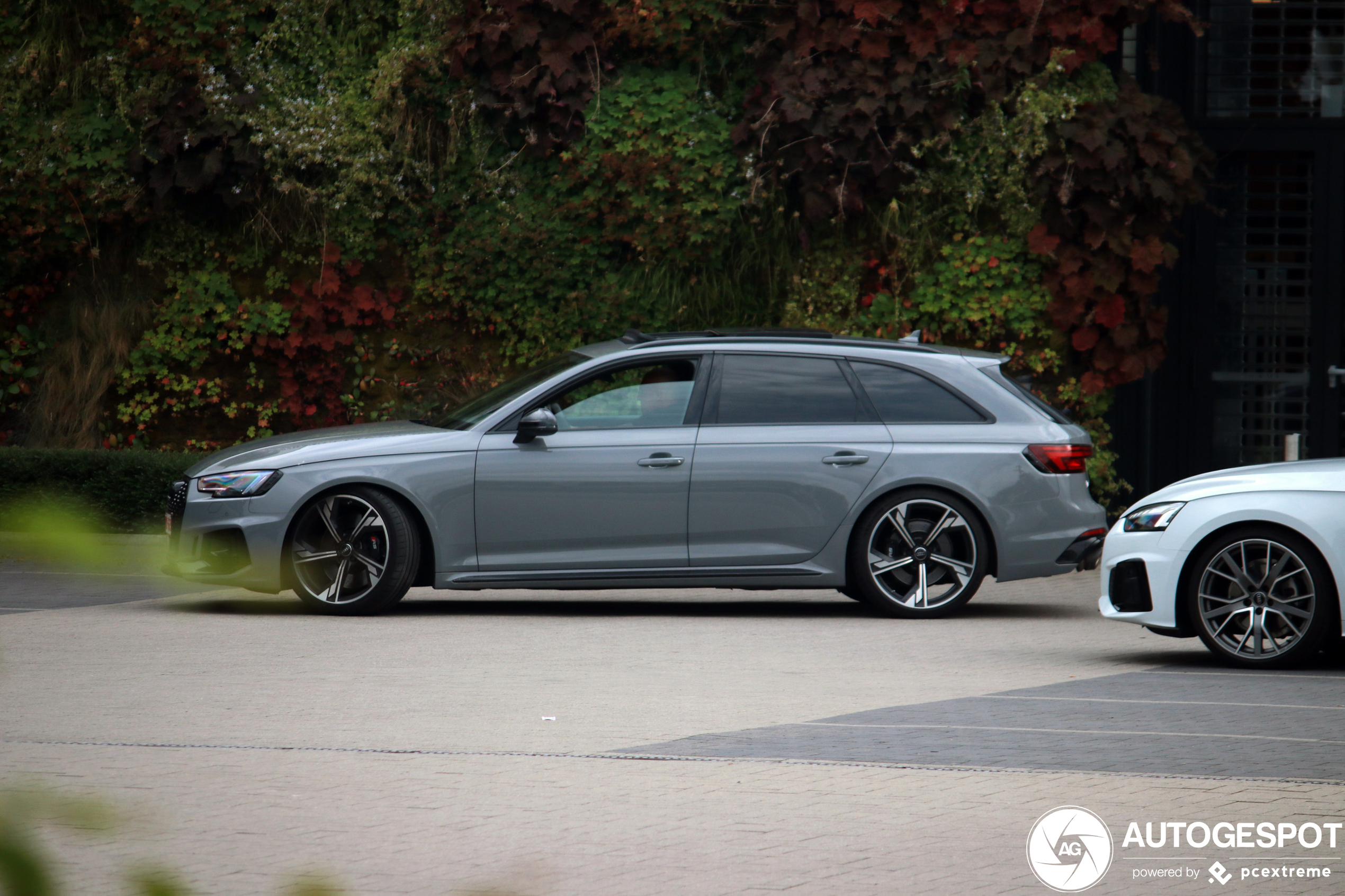 Audi RS4 Avant B9