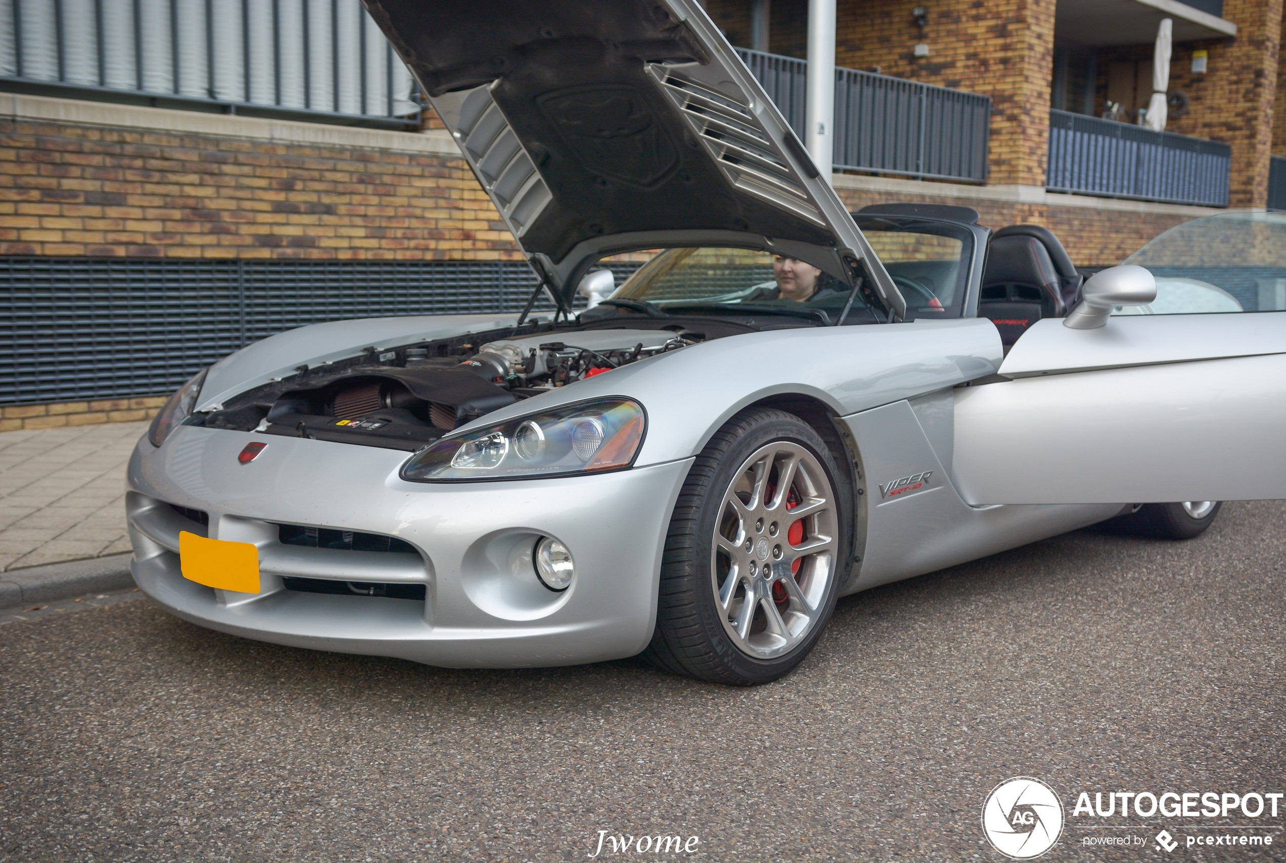 Dodge Viper SRT-10 Roadster Silver Mamba Edition