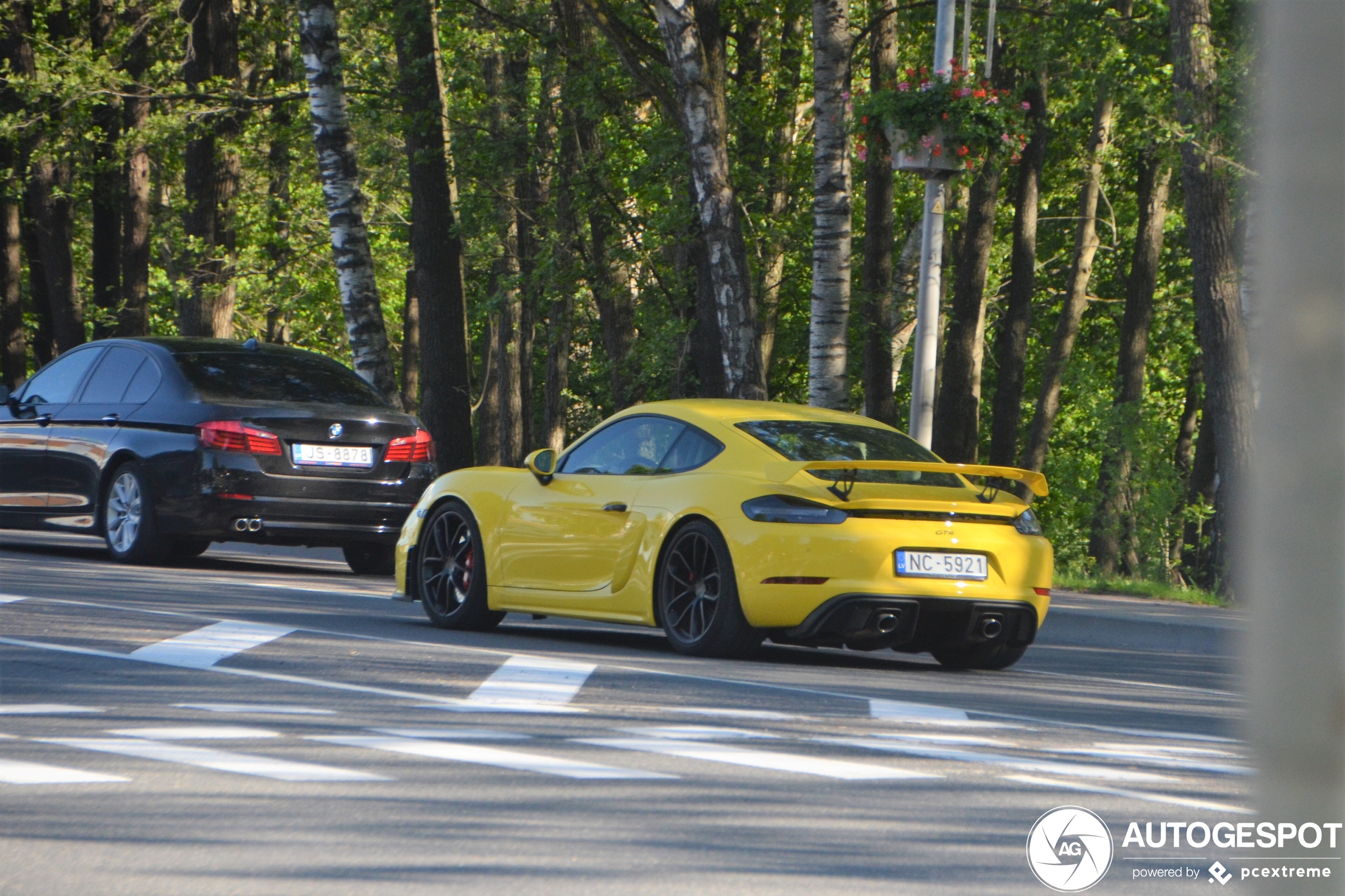 Porsche 718 Cayman GT4