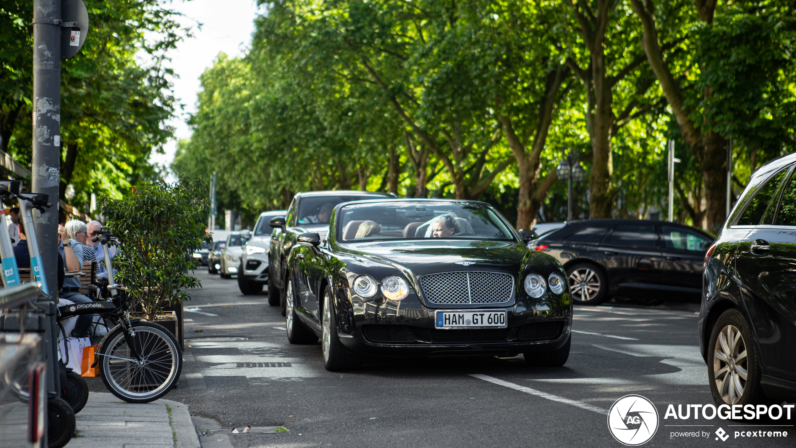 Bentley Continental GTC