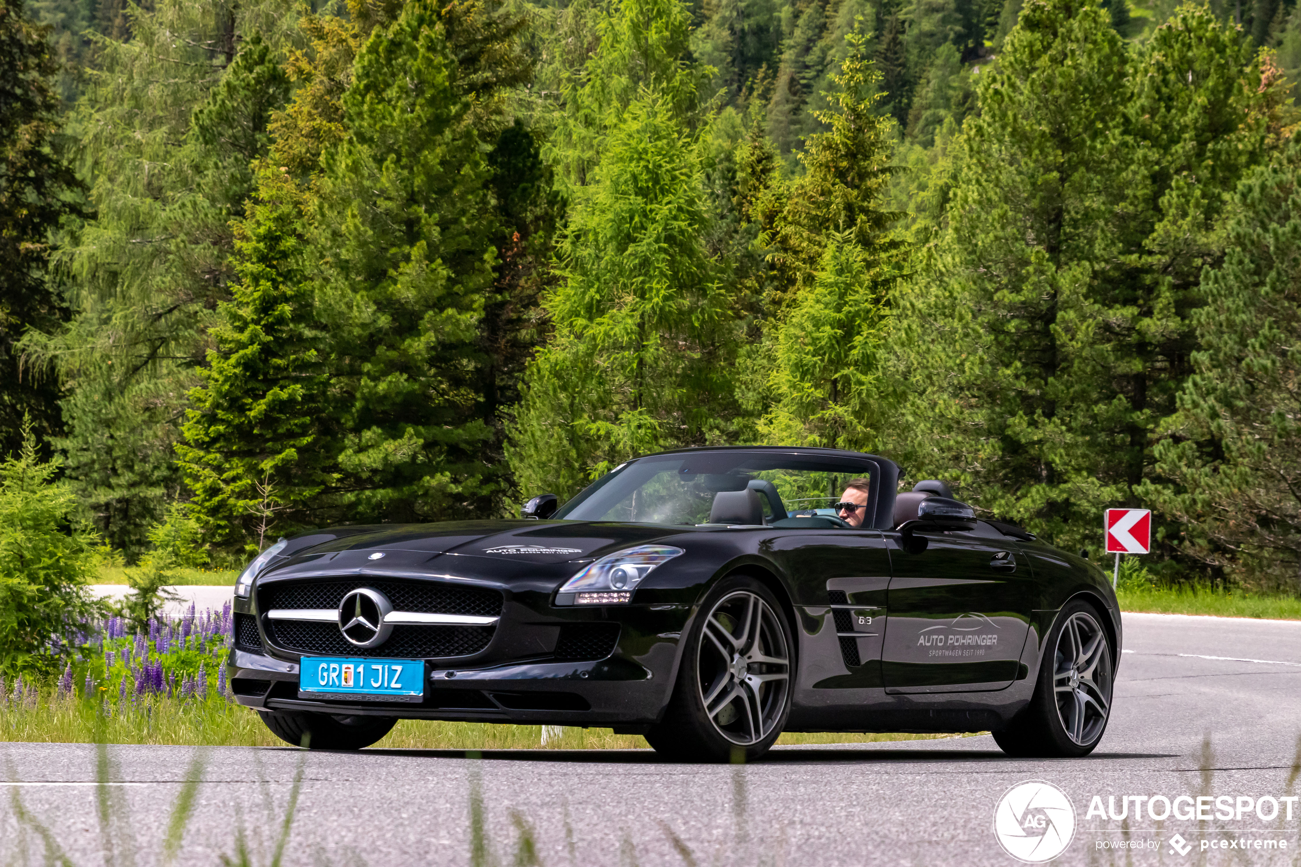 Mercedes-Benz SLS AMG Roadster