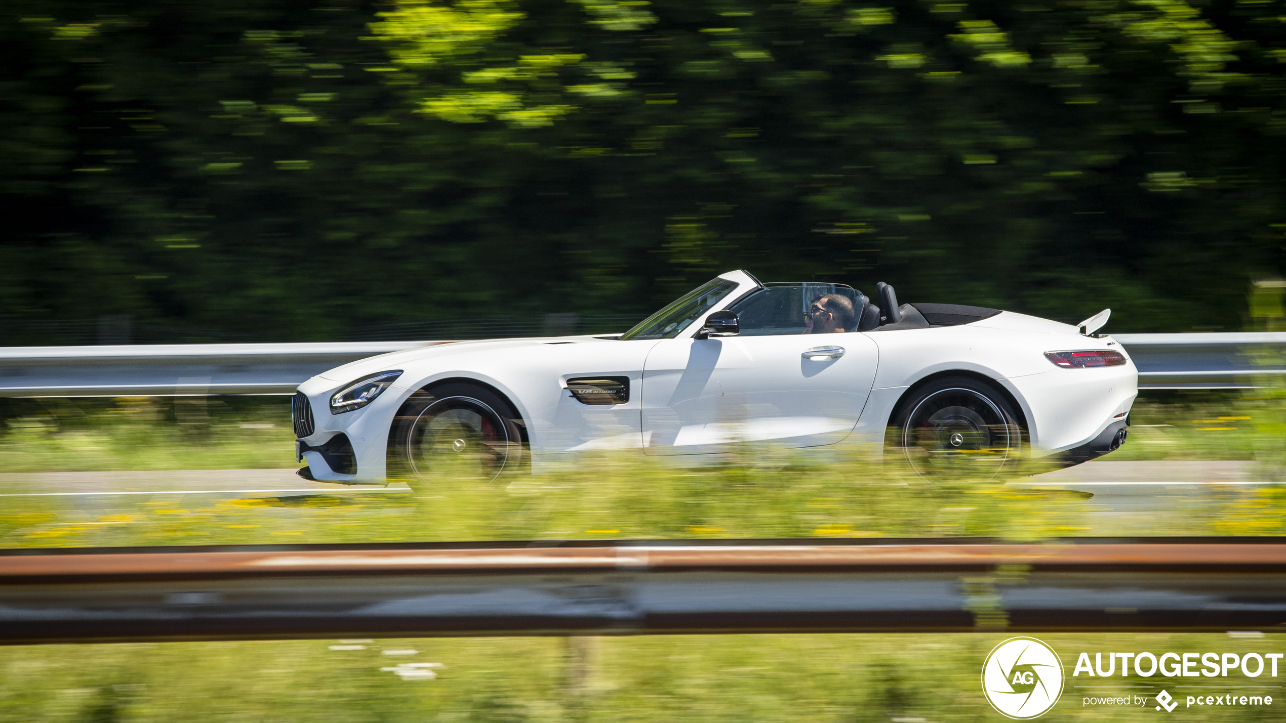 Mercedes-AMG GT Roadster R190 2019