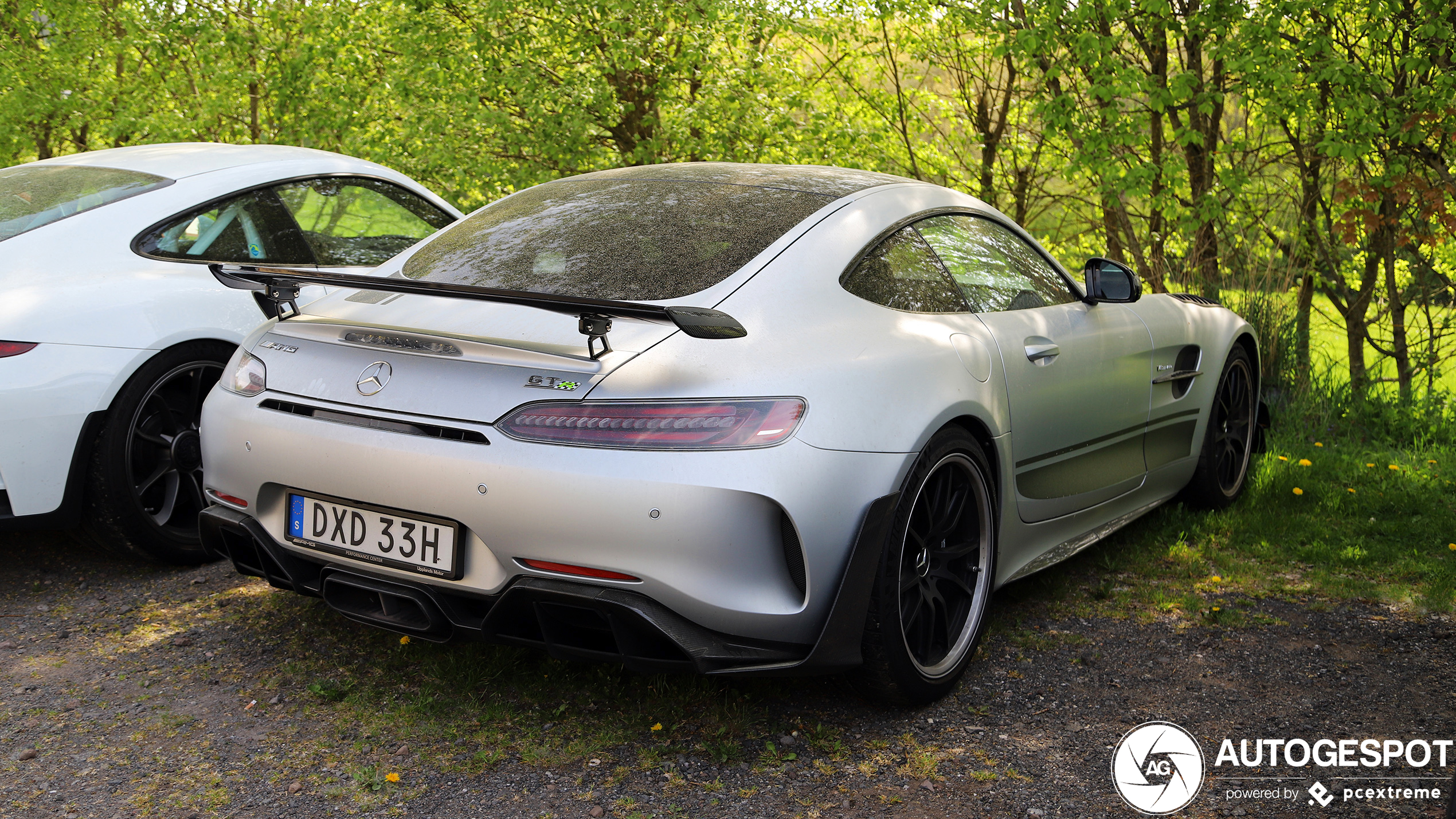 Mercedes-AMG GT R Pro C190