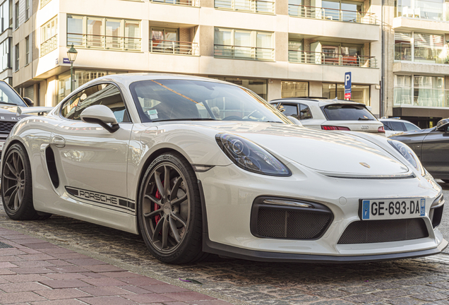 Porsche 981 Cayman GT4