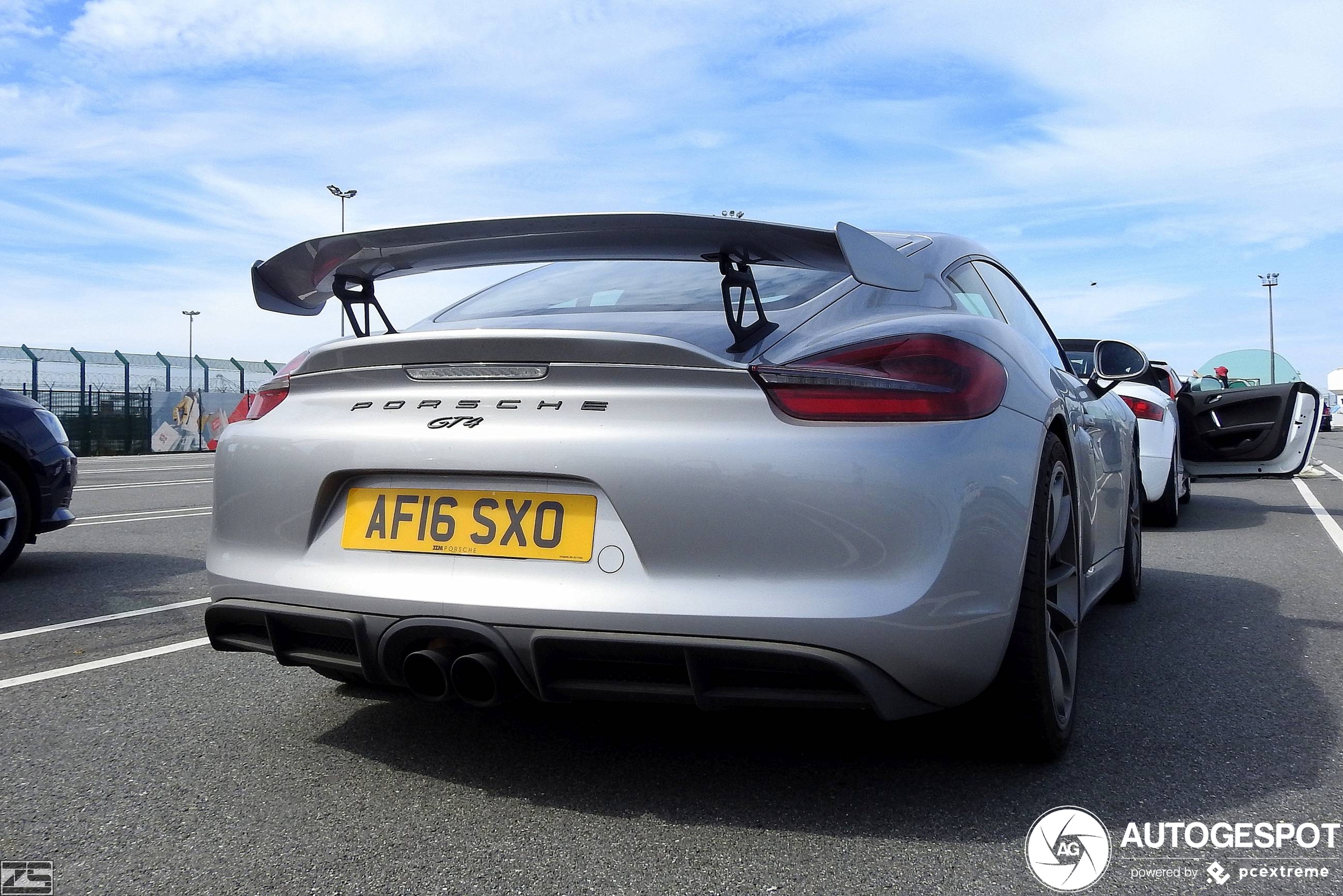 Porsche 981 Cayman GT4