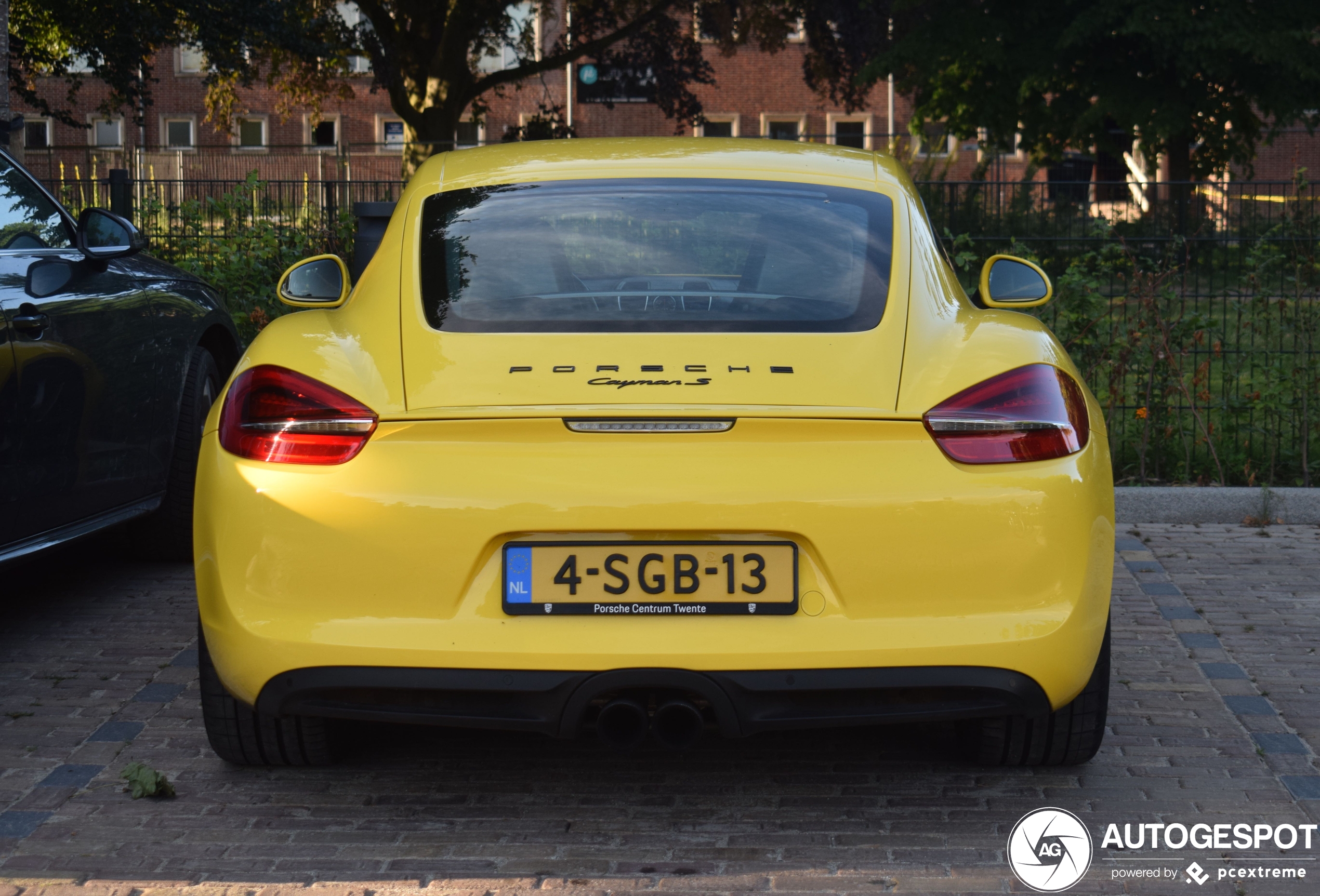 Porsche 981 Cayman S