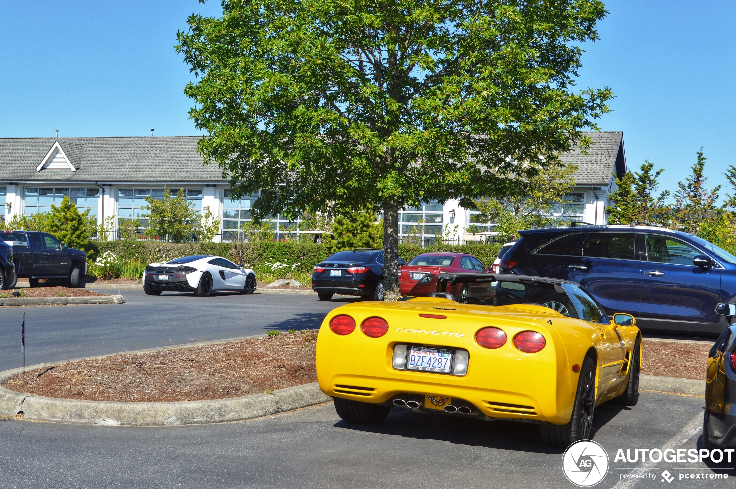 Chevrolet Corvette C5 Convertible