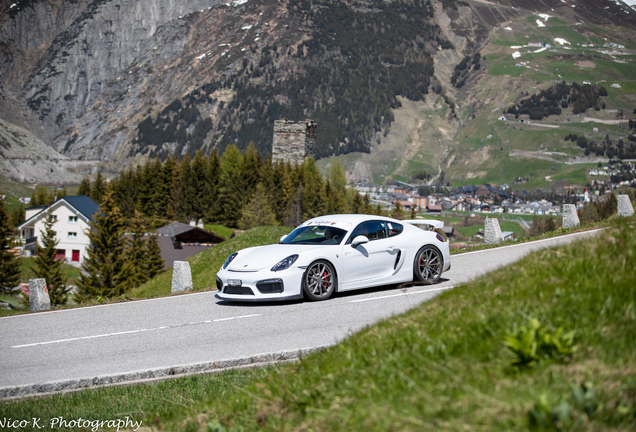 Porsche 981 Cayman GT4