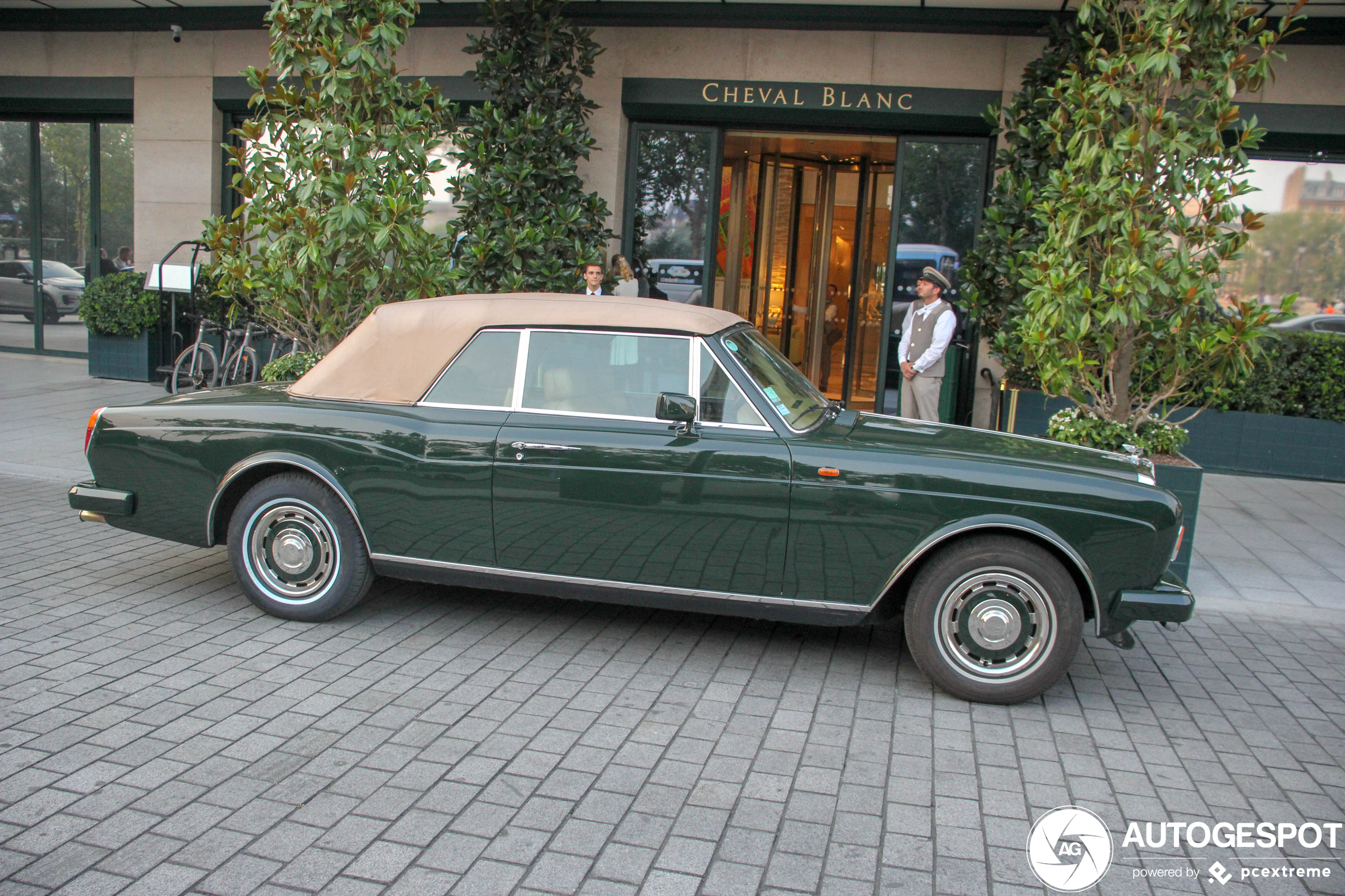 Bentley Continental Convertible